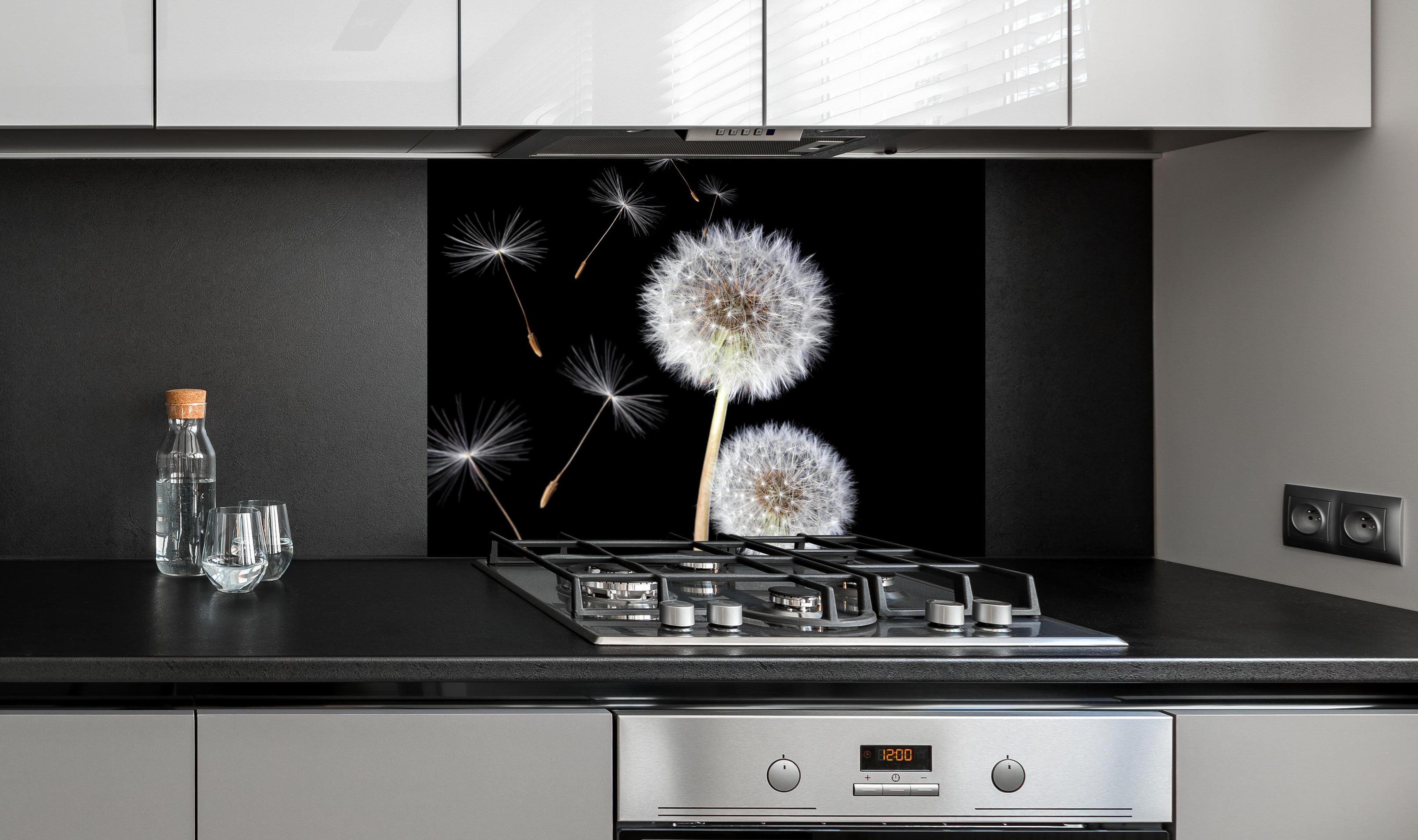 Spritzschutz - Löwenzahn auf schwarzem Hintergrund an edler Anthrazit-Wand hinter silbernem Gasherd