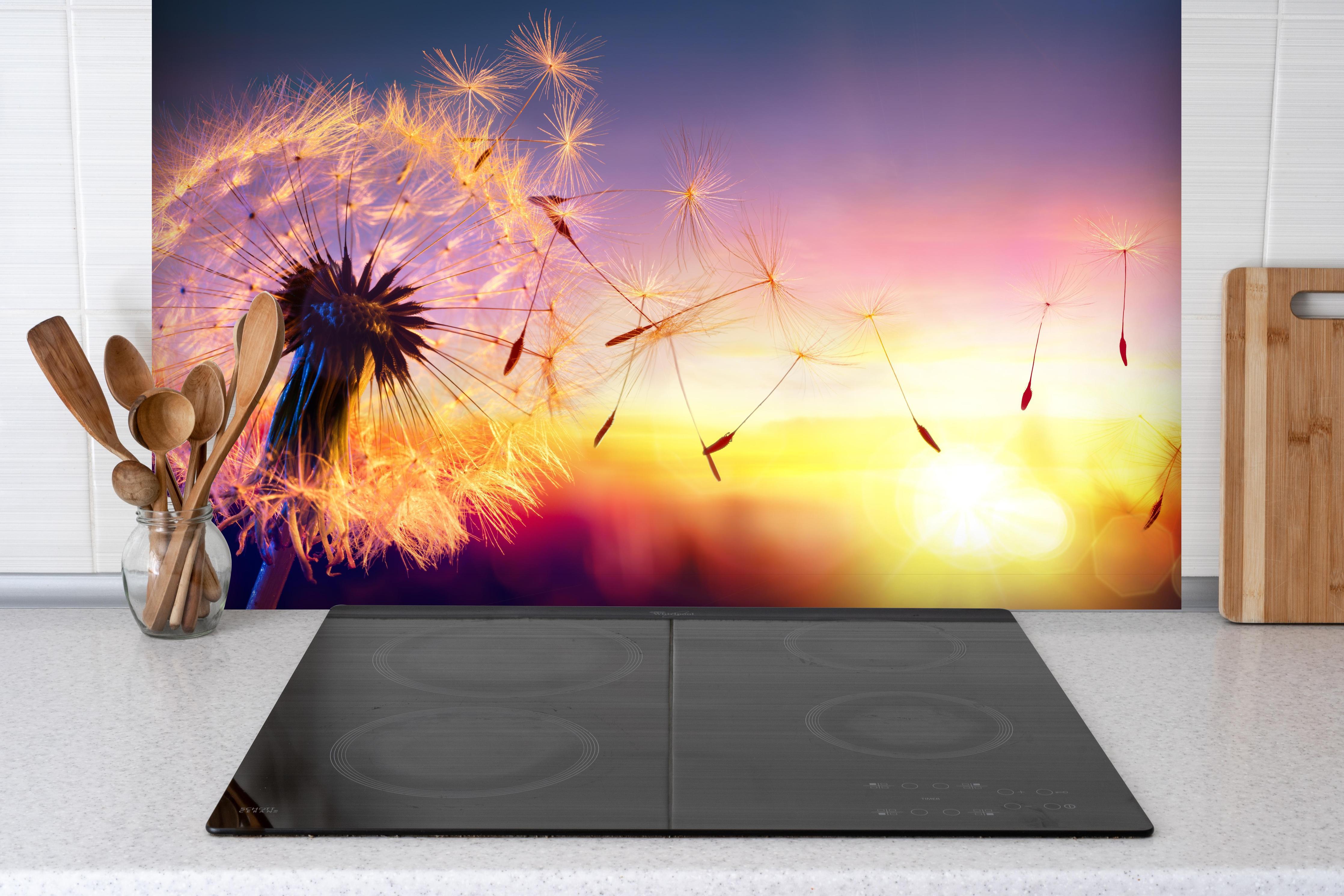 Spritzschutz - Löwenzahn im Wind bei Sonnenuntergang hinter einem Cerankochfeld zwischen Holz-Kochutensilien