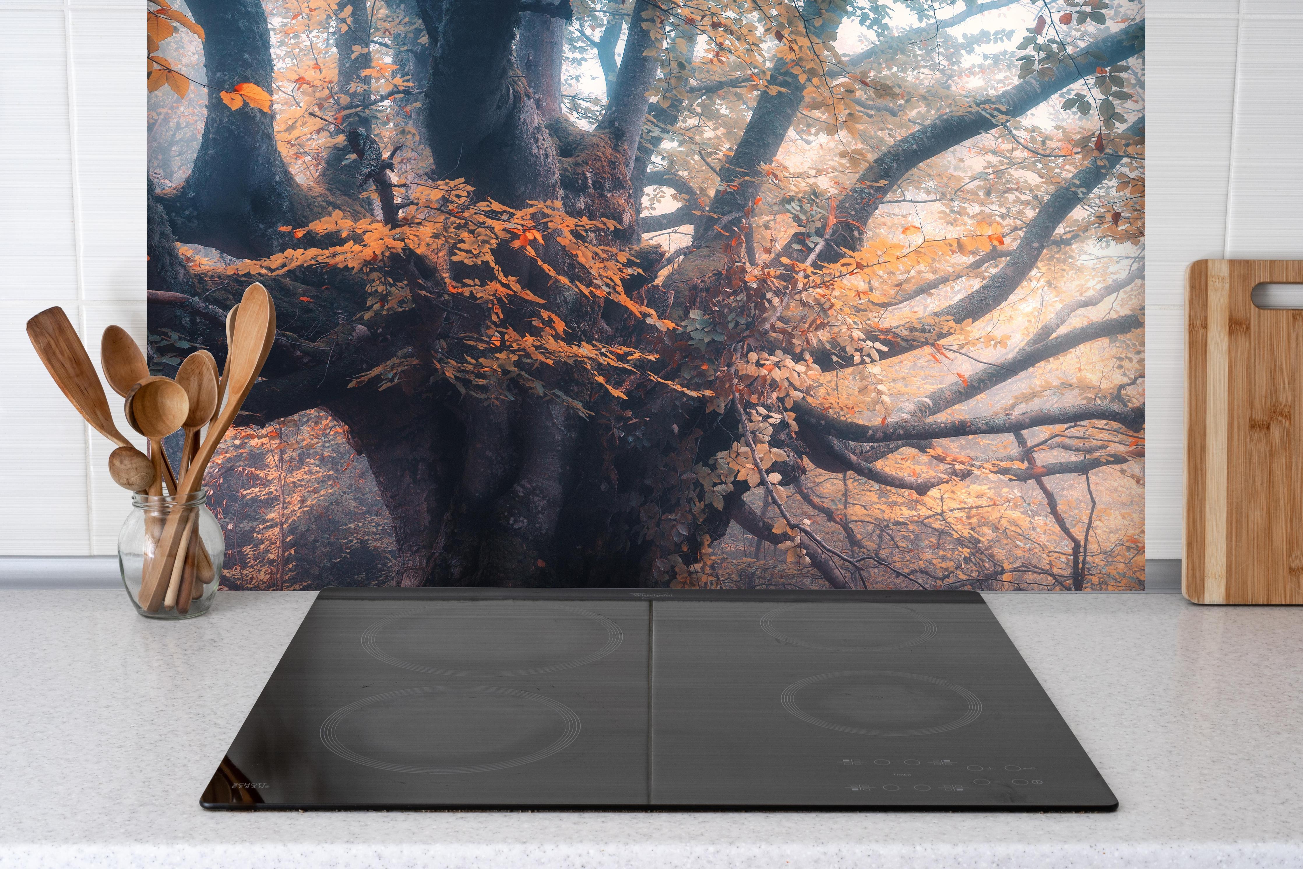 Spritzschutz - Magischer alter Baum im Herbst hinter einem Cerankochfeld zwischen Holz-Kochutensilien