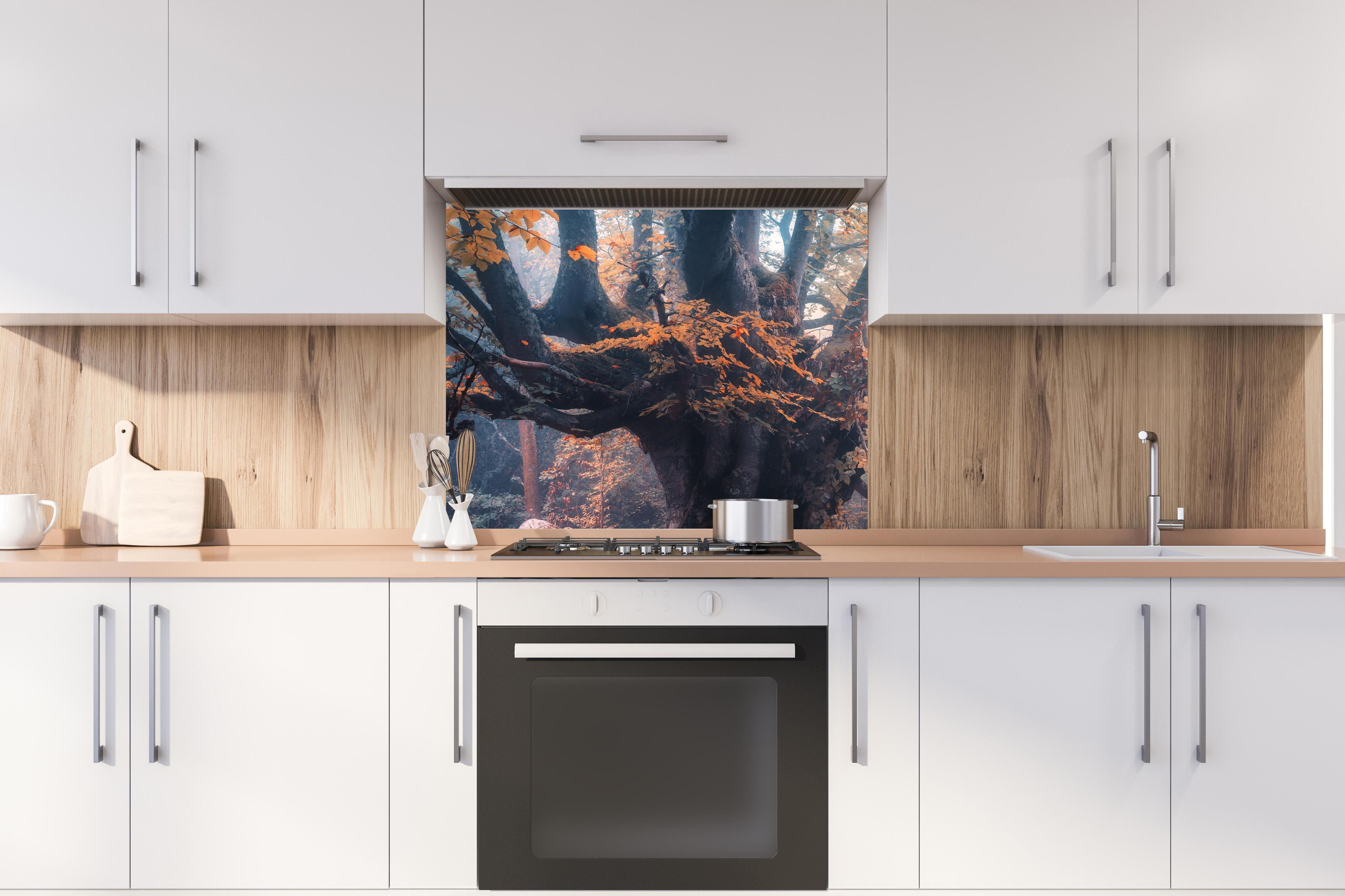 Spritzschutz - Magischer alter Baum im Herbst hinter stilvollem Gasherd unter Dunstabzugshaube