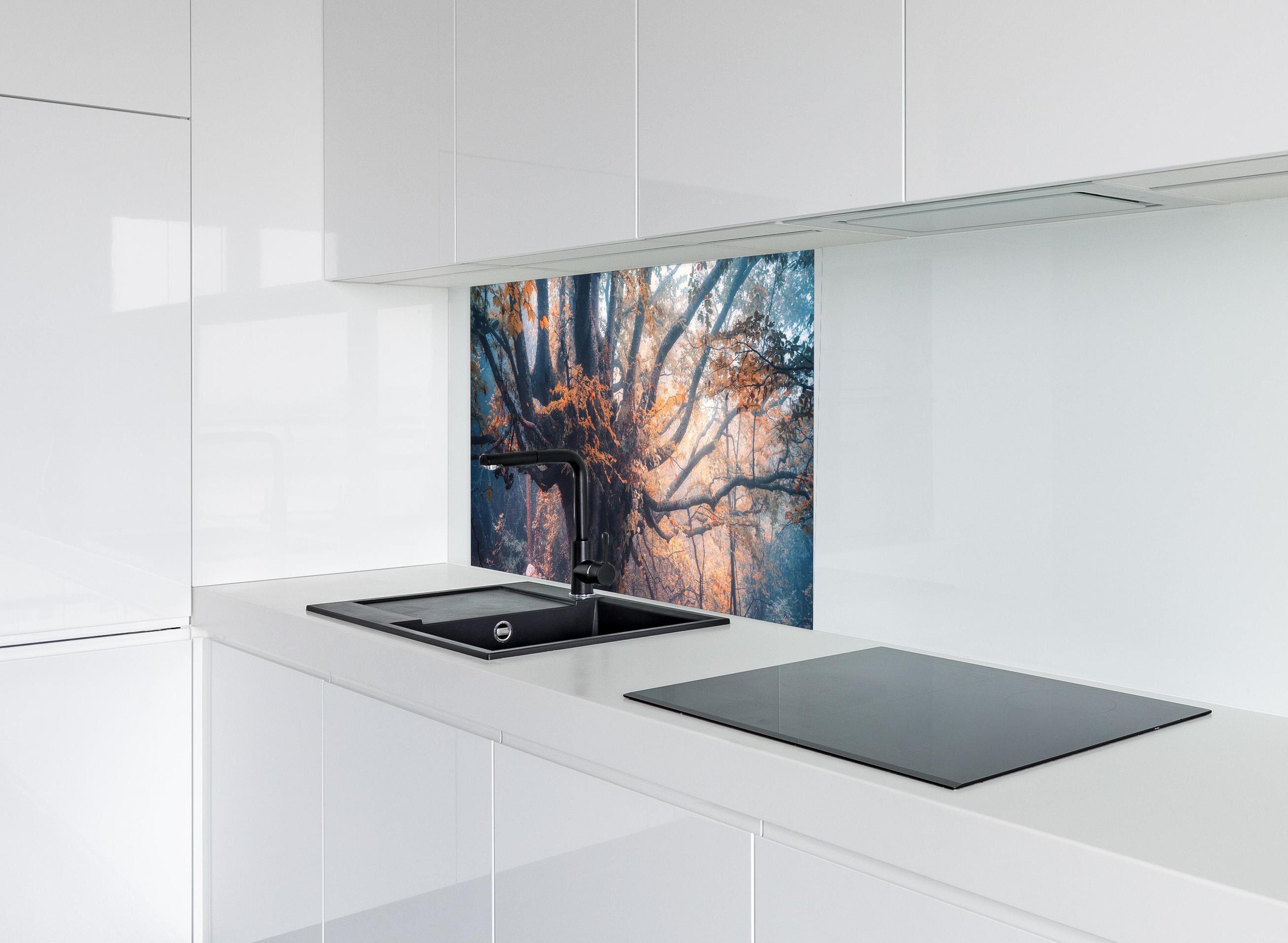 Spritzschutz - Magischer alter Baum im Herbst hinter modernem schwarz-matten Spülbecken in weißer Hochglanz-Küche