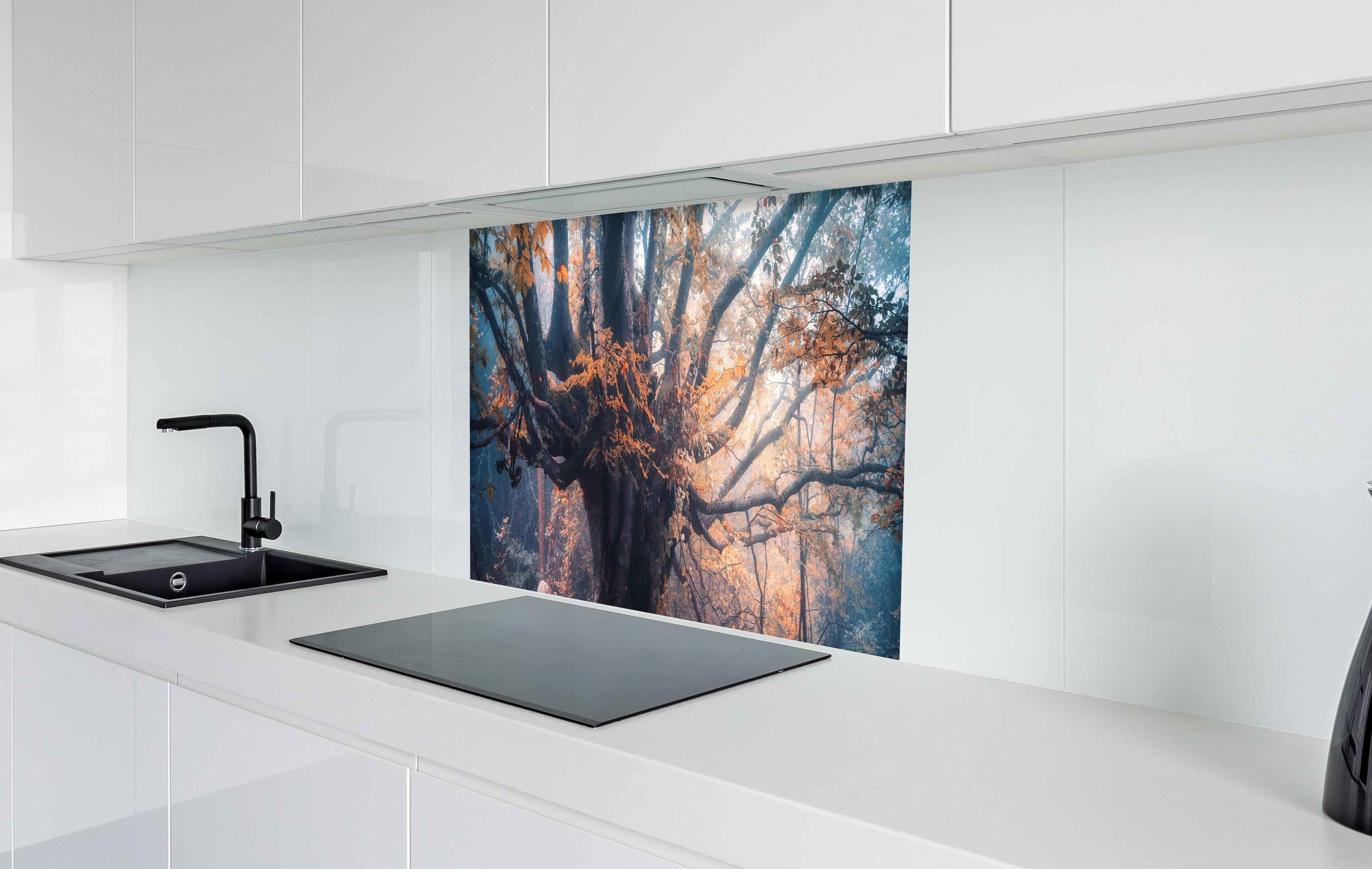 Spritzschutz - Magischer alter Baum im Herbst in weißer Hochglanz-Küche hinter einem Cerankochfeld