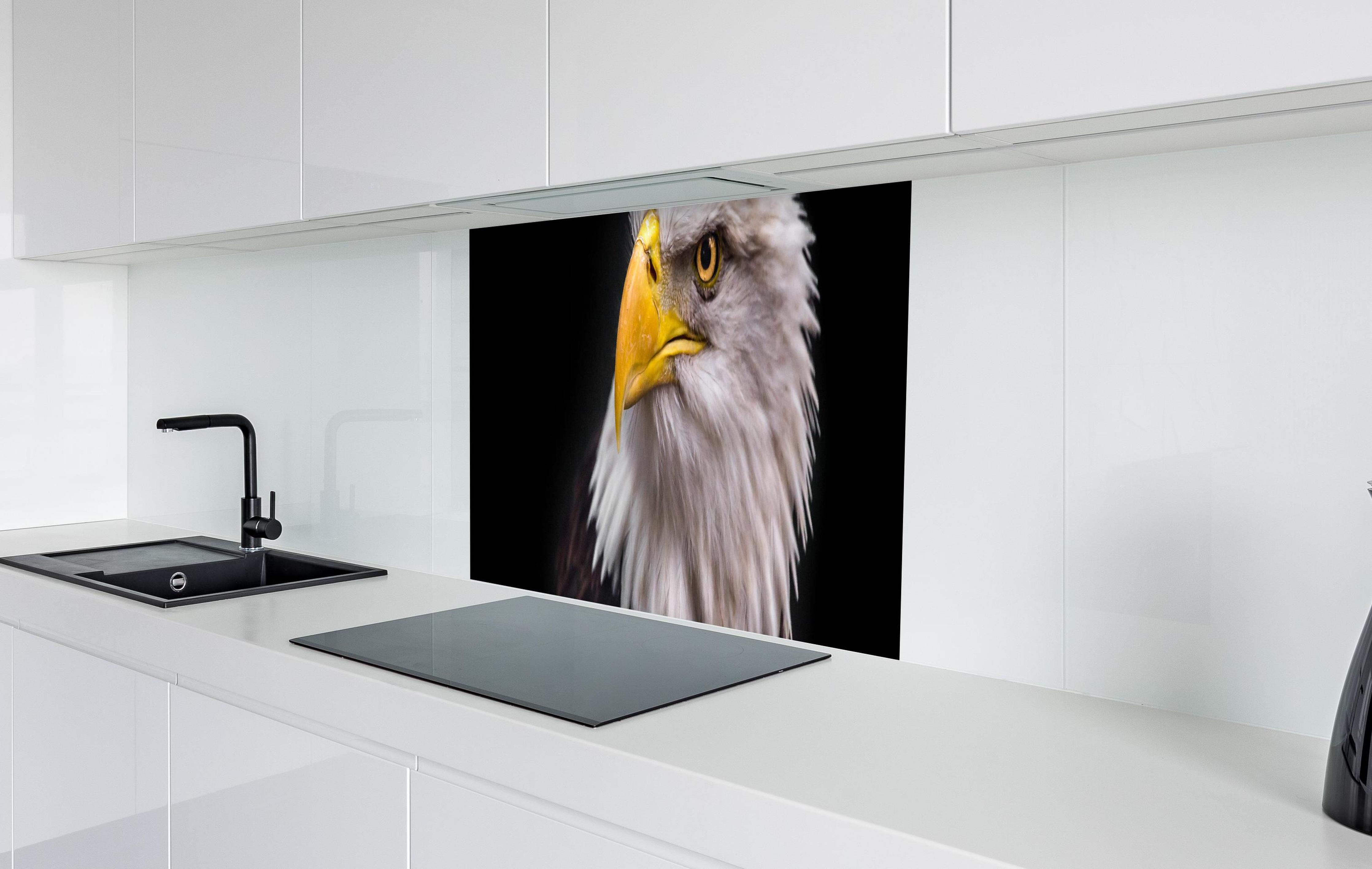 Spritzschutz - Majestätischer Adler in weißer Hochglanz-Küche hinter einem Cerankochfeld