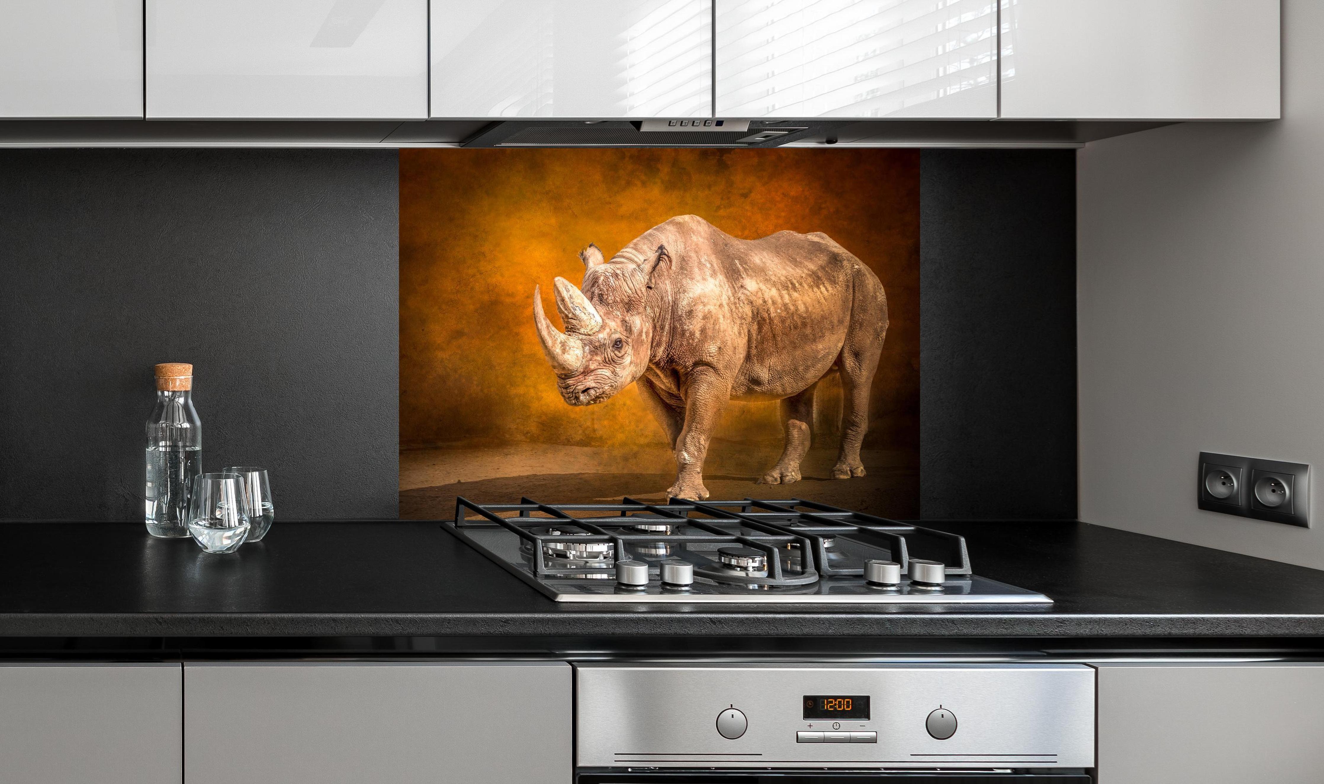 Spritzschutz - Majestätisches Nashorn an edler Anthrazit-Wand hinter silbernem Gasherd