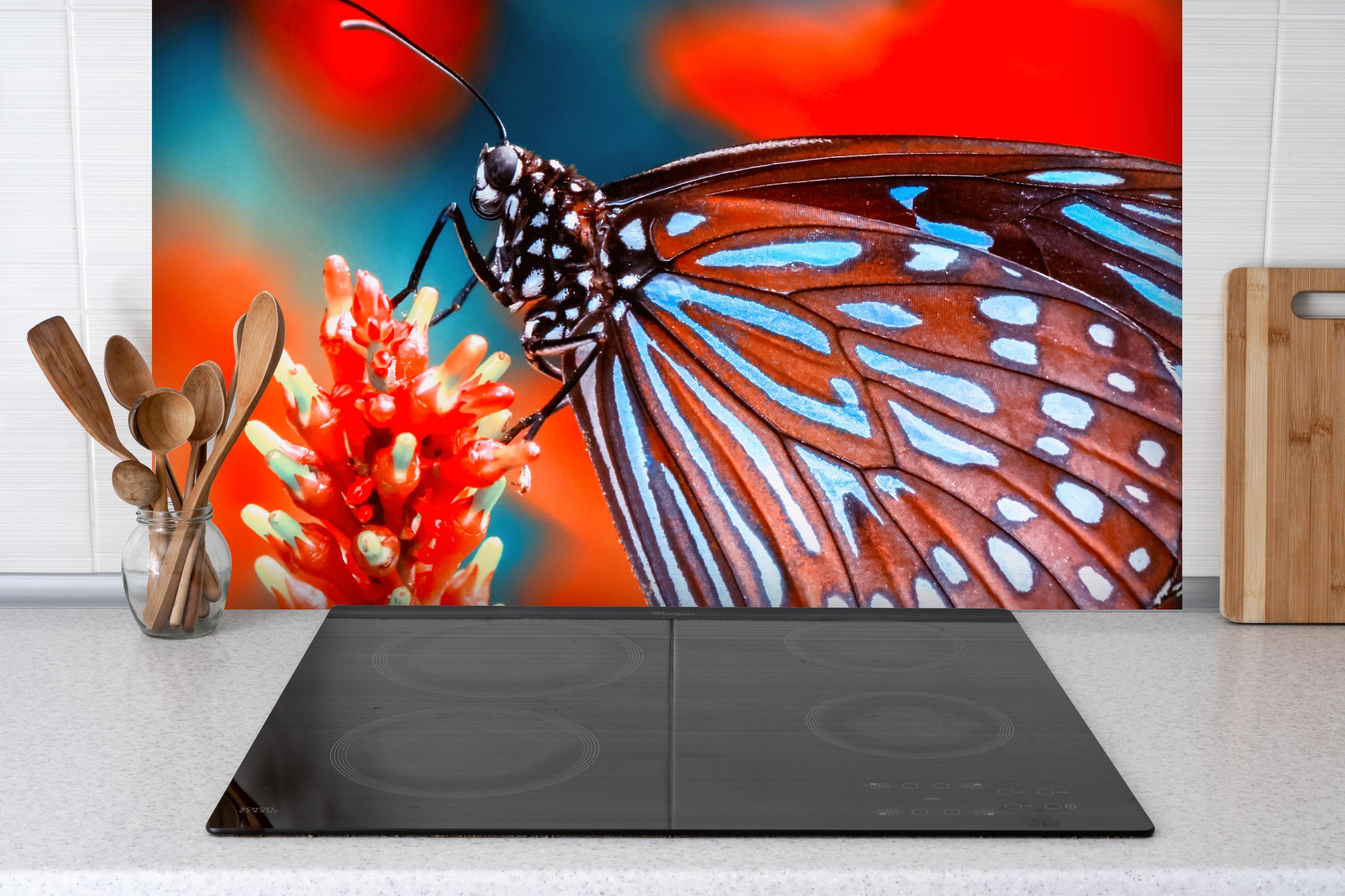 Spritzschutz - Nahaufnahme eines bezaubernden Schmetterlings hinter einem Cerankochfeld zwischen Holz-Kochutensilien