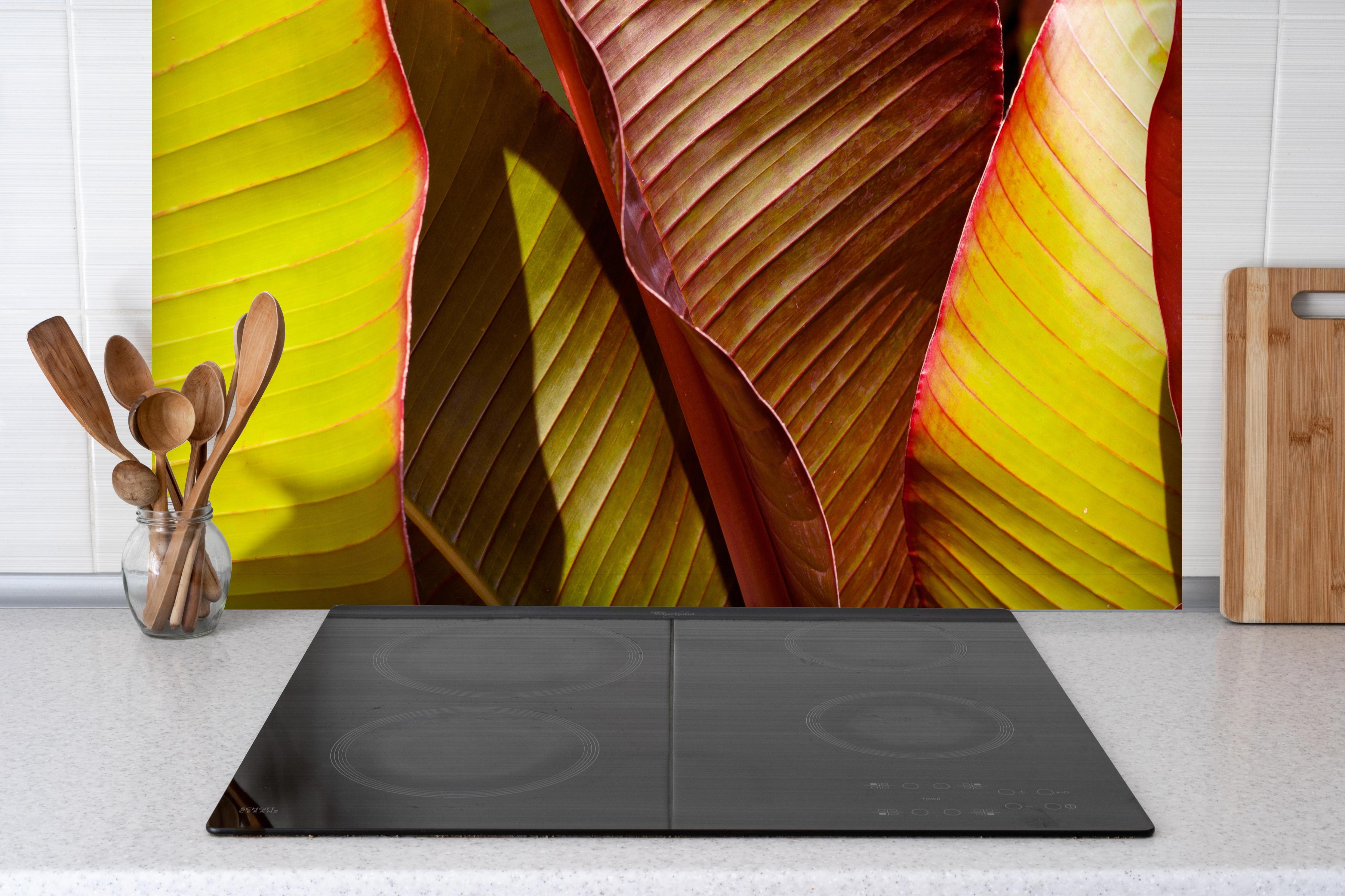 Spritzschutz - Nahaufnahme von Bananenblättern hinter einem Cerankochfeld zwischen Holz-Kochutensilien