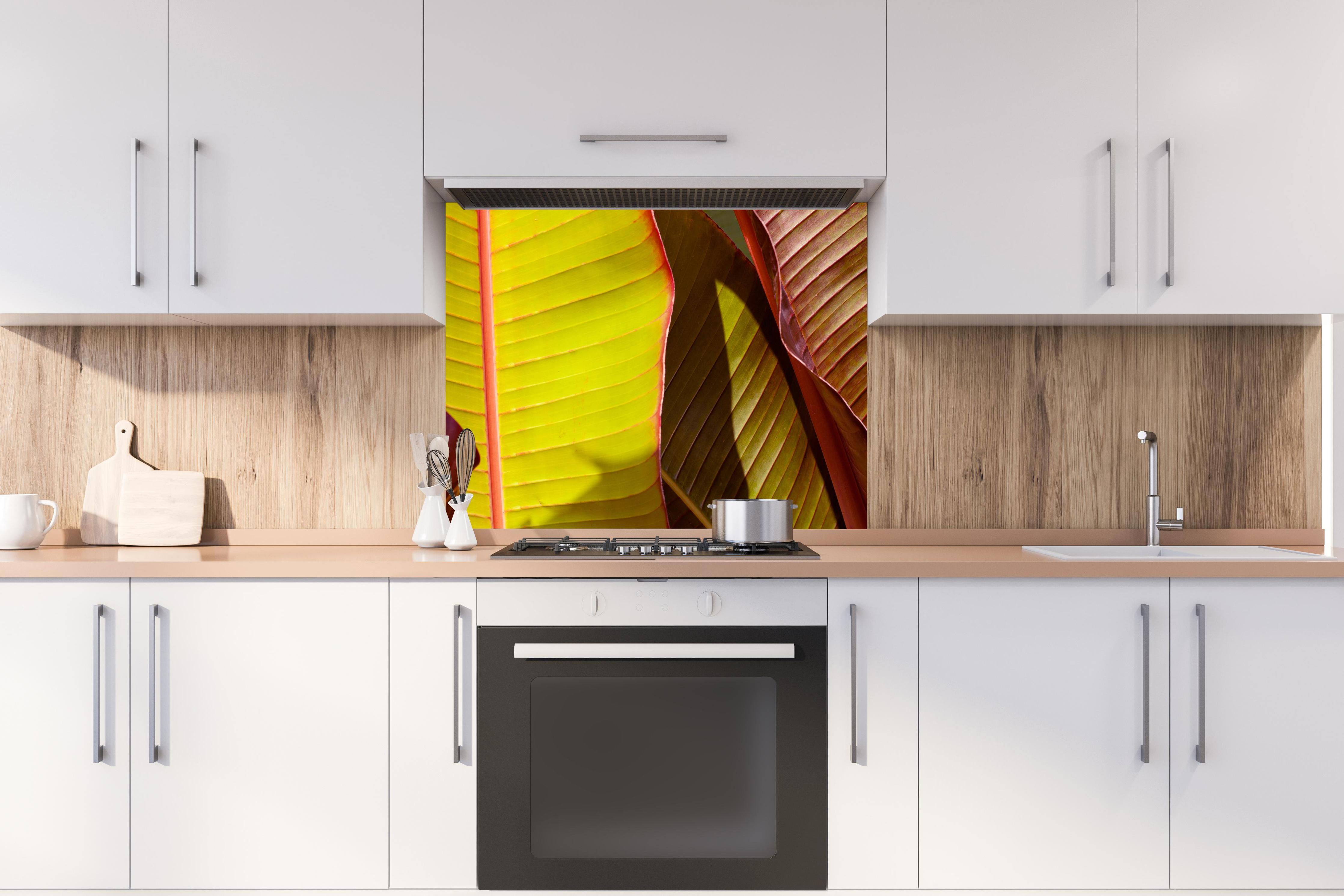 Spritzschutz - Nahaufnahme von Bananenblättern hinter stilvollem Gasherd unter Dunstabzugshaube