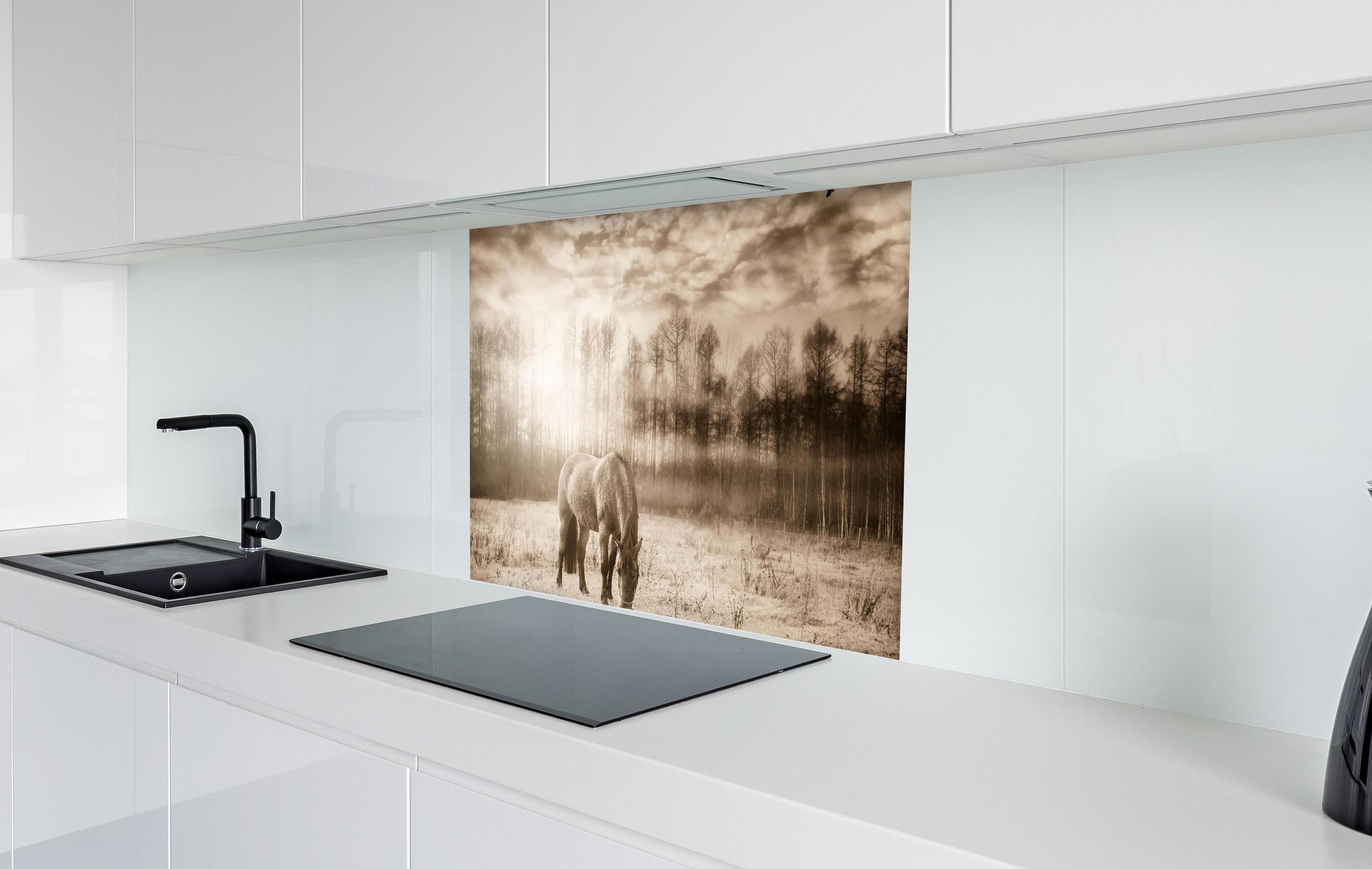 Spritzschutz - Nebelige Weide mit Pferd im Herbst in weißer Hochglanz-Küche hinter einem Cerankochfeld