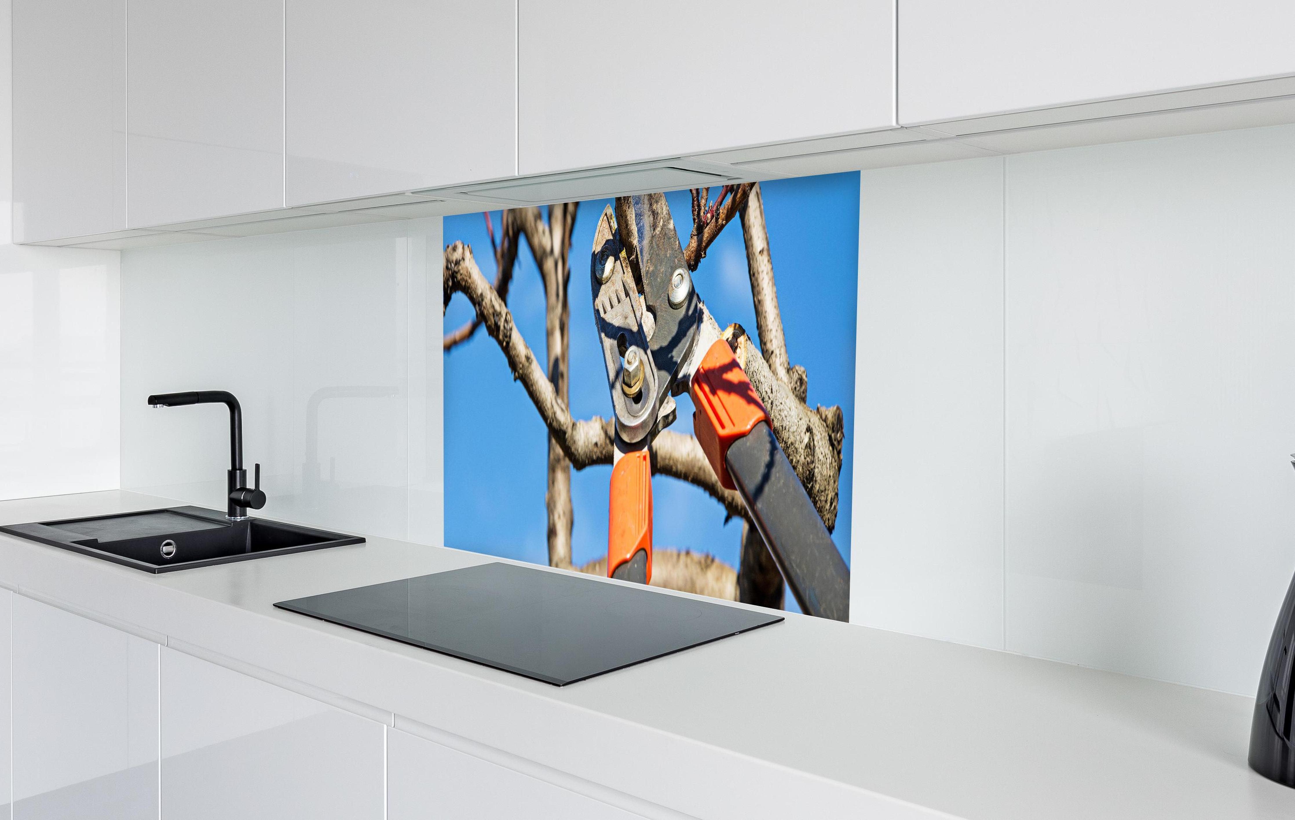 Spritzschutz - Obstbaums - Gartenschere in weißer Hochglanz-Küche hinter einem Cerankochfeld