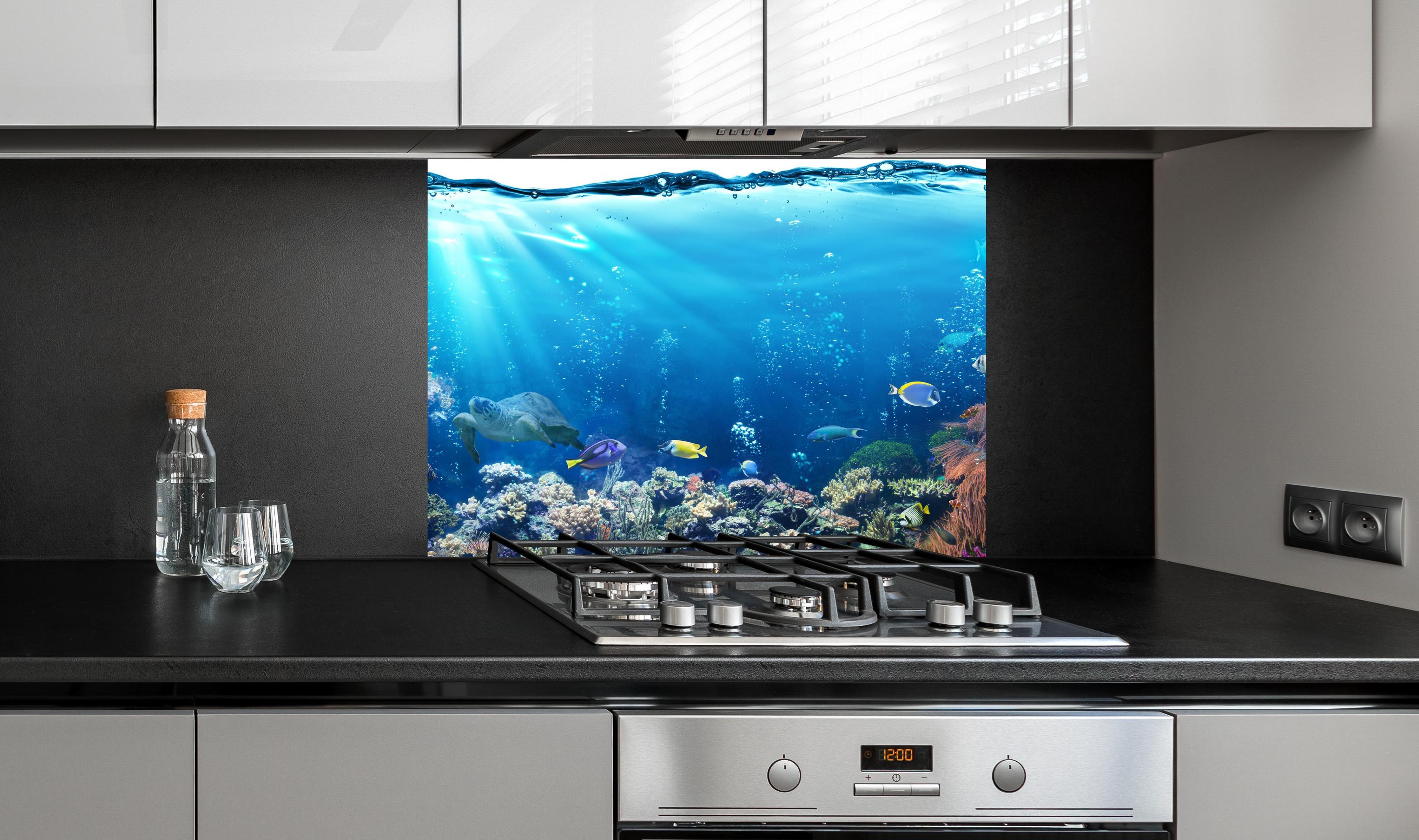 Spritzschutz - Ozeantiere - Unterwasser an edler Anthrazit-Wand hinter silbernem Gasherd