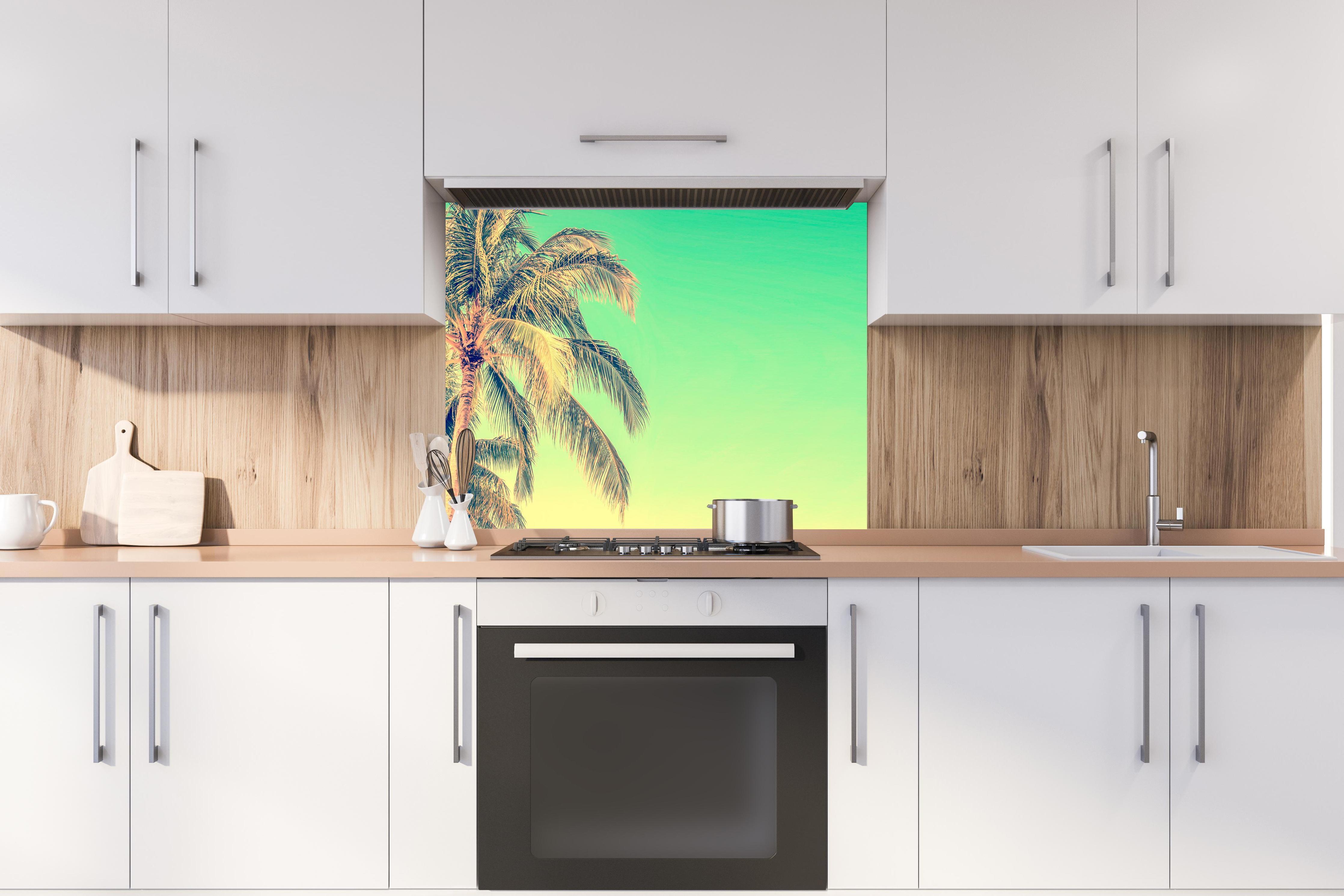 Spritzschutz - Palme im Panorama-Himmel hinter stilvollem Gasherd unter Dunstabzugshaube