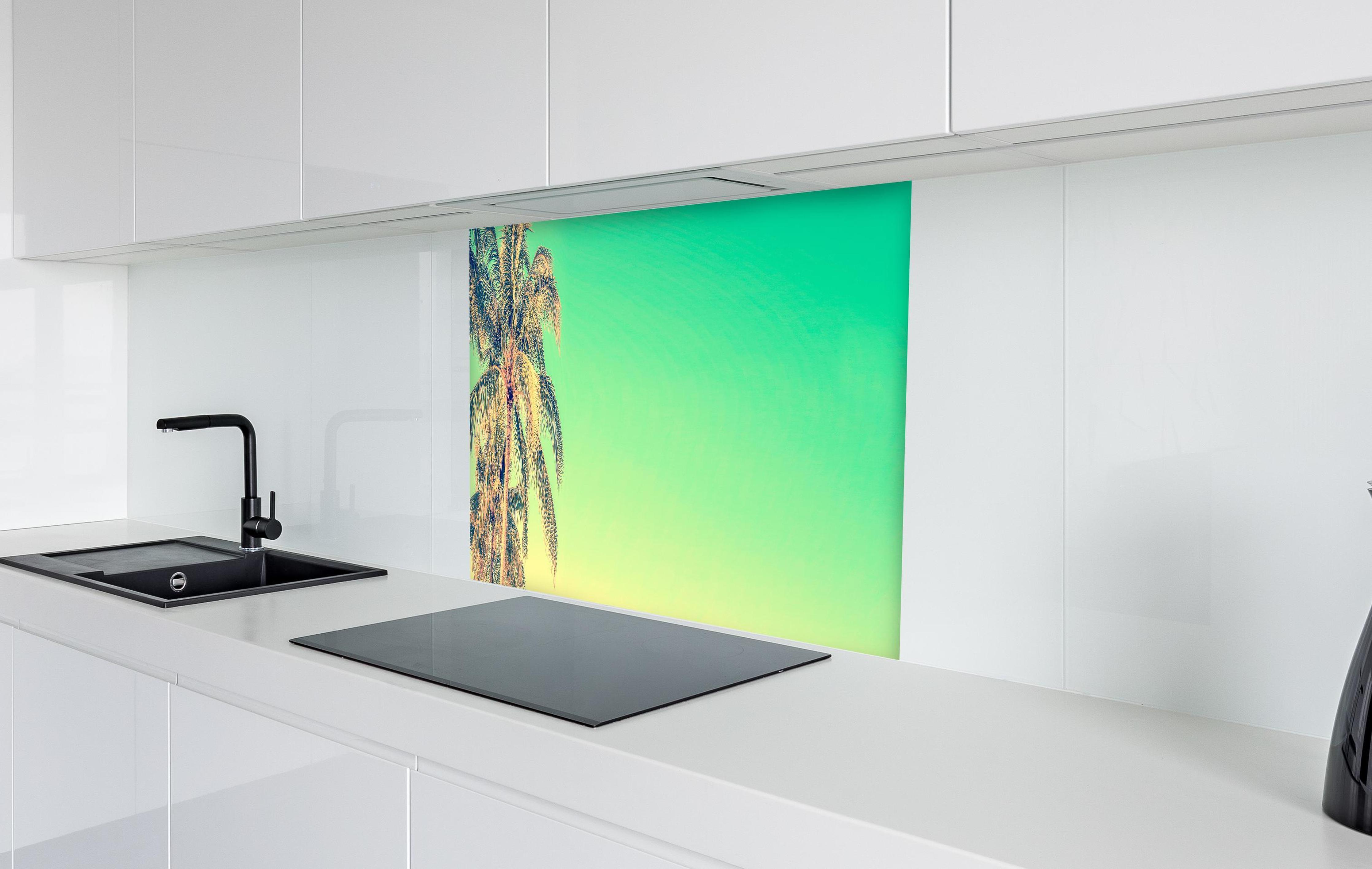 Spritzschutz - Palme im Panorama-Himmel in weißer Hochglanz-Küche hinter einem Cerankochfeld