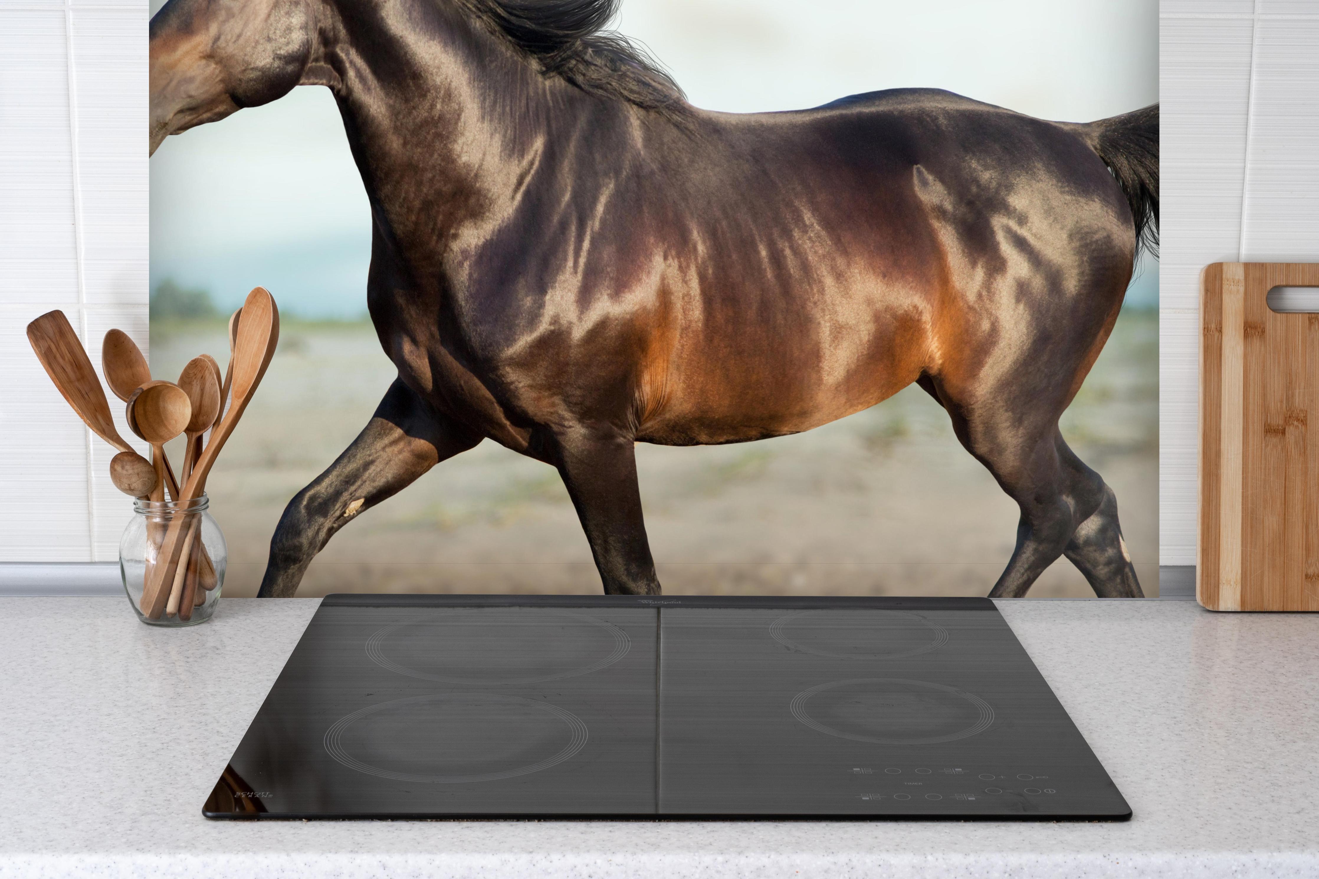 Spritzschutz - Pferd frei in der Wüste hinter einem Cerankochfeld zwischen Holz-Kochutensilien