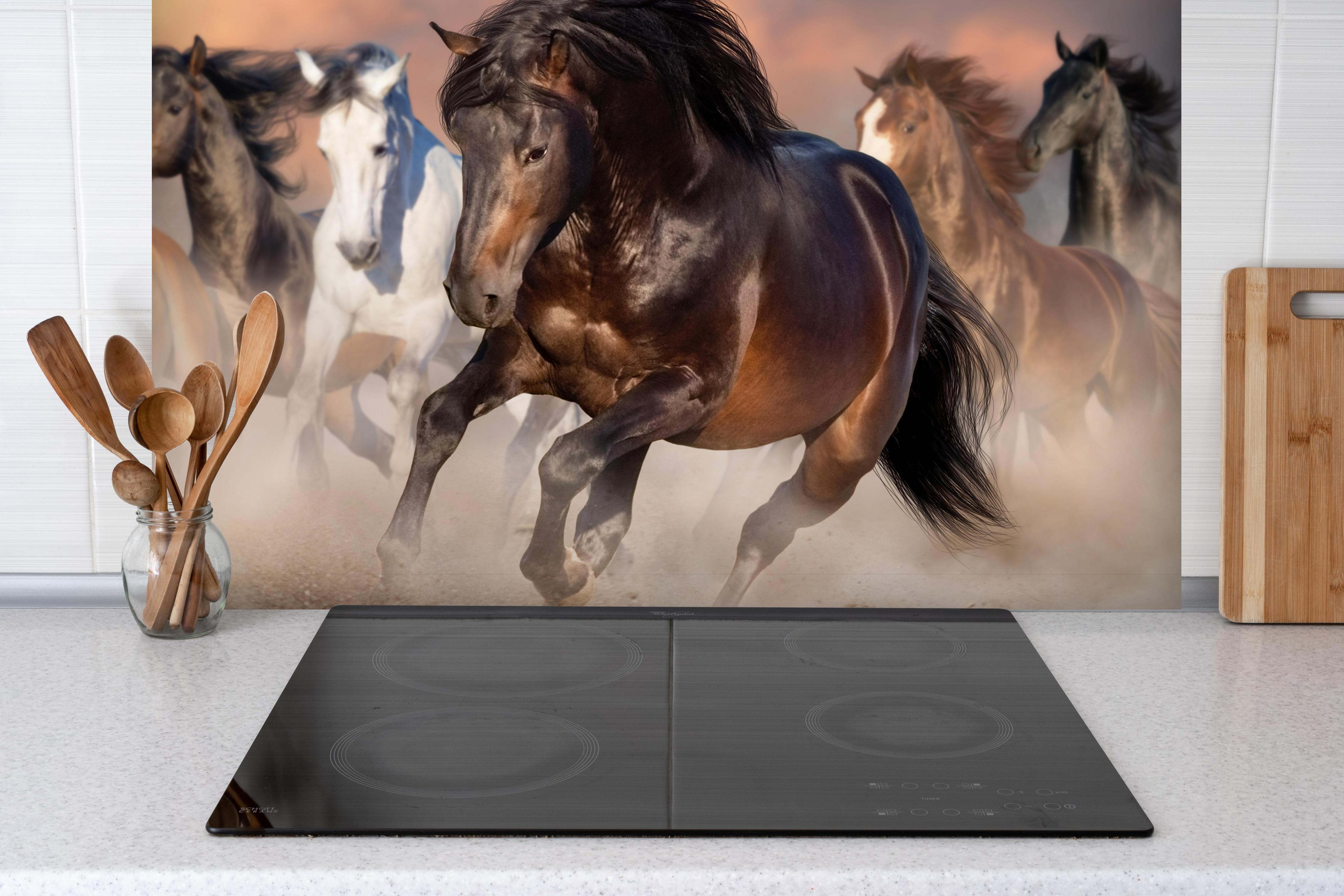 Spritzschutz - Pferdeherde galoppierend im Wüstenstaub hinter einem Cerankochfeld zwischen Holz-Kochutensilien