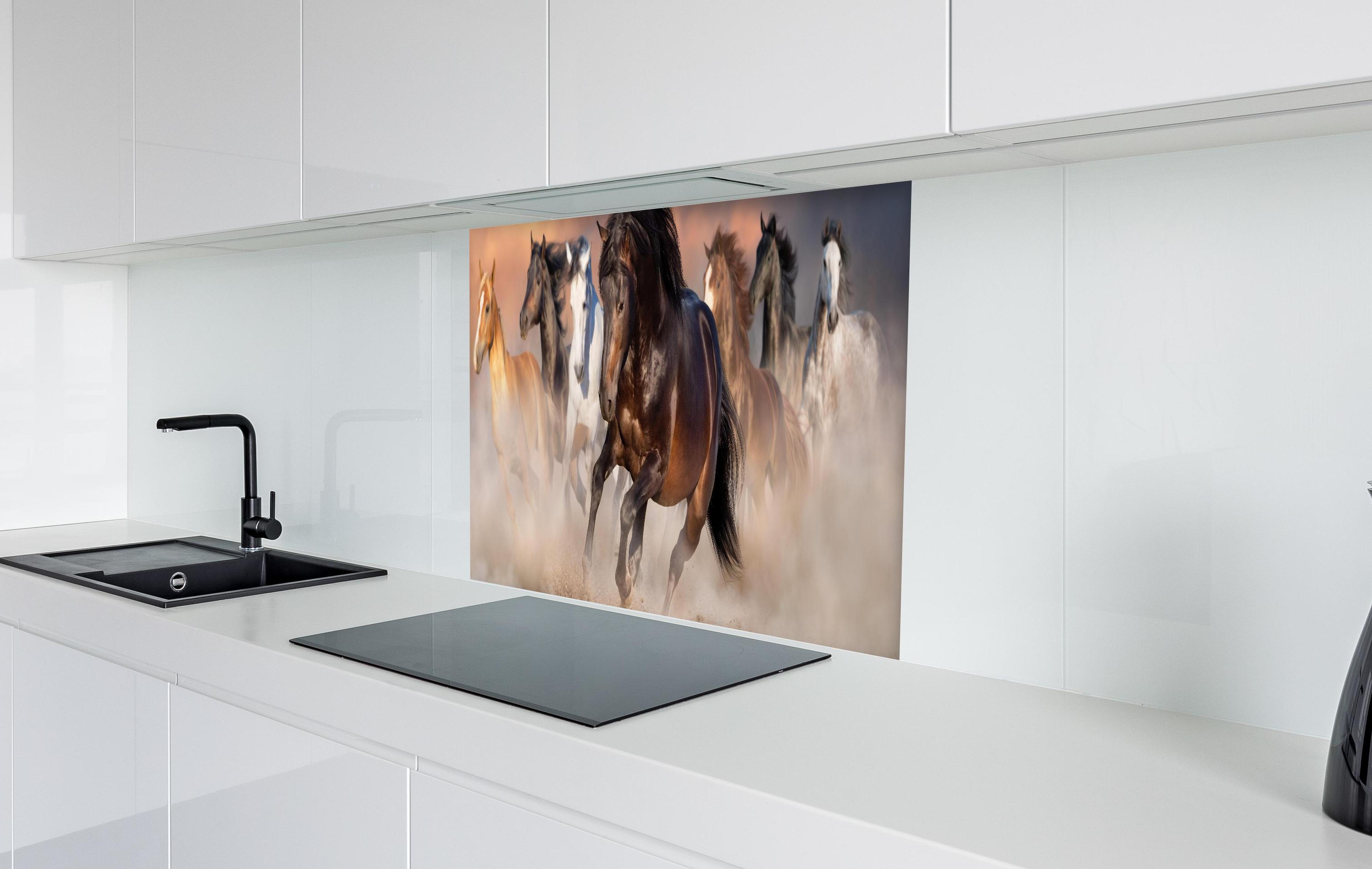Spritzschutz - Pferdeherde galoppierend im Wüstenstaub in weißer Hochglanz-Küche hinter einem Cerankochfeld