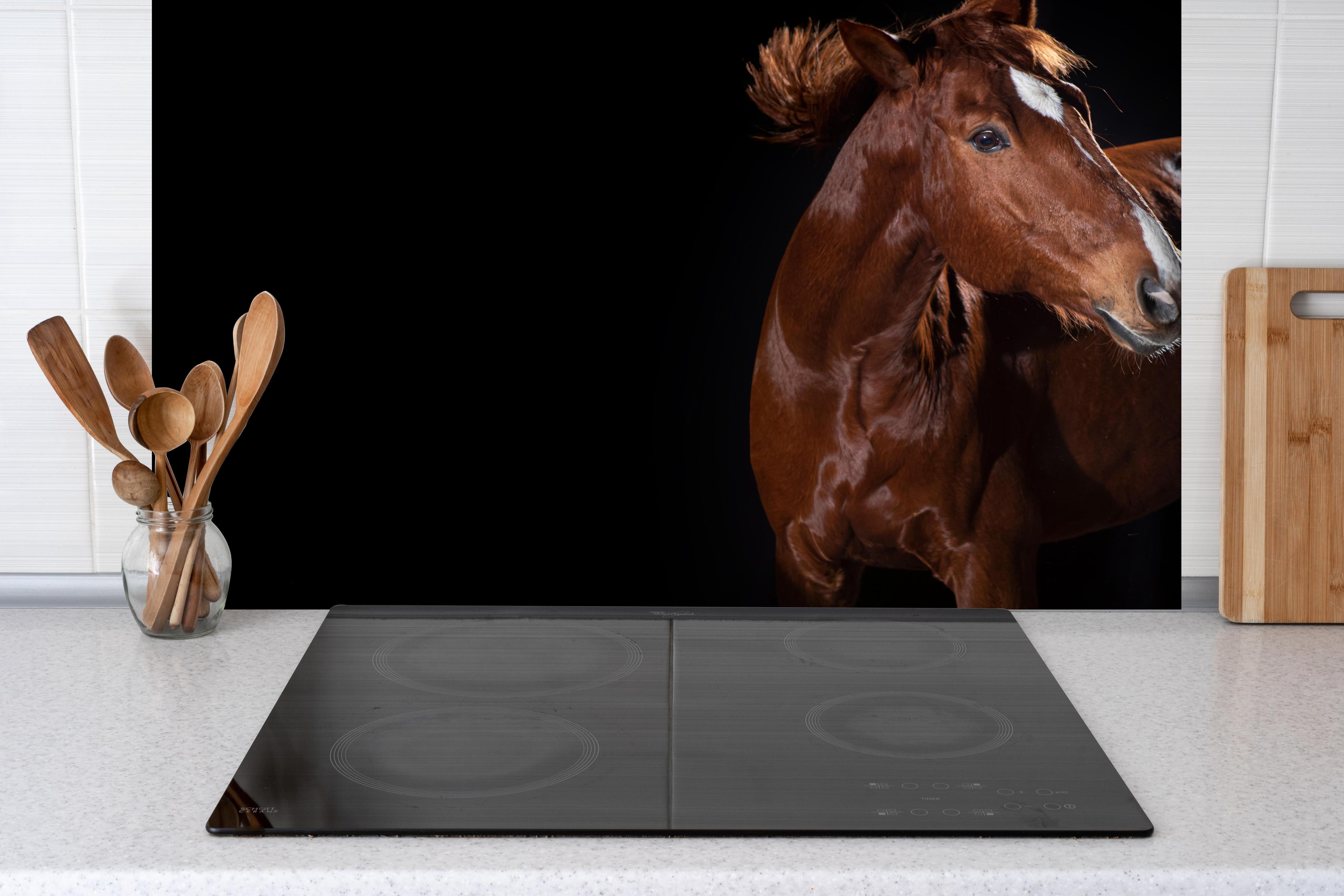 Spritzschutz - Pferdeporträt auf schwarzem Hintergrund hinter einem Cerankochfeld zwischen Holz-Kochutensilien