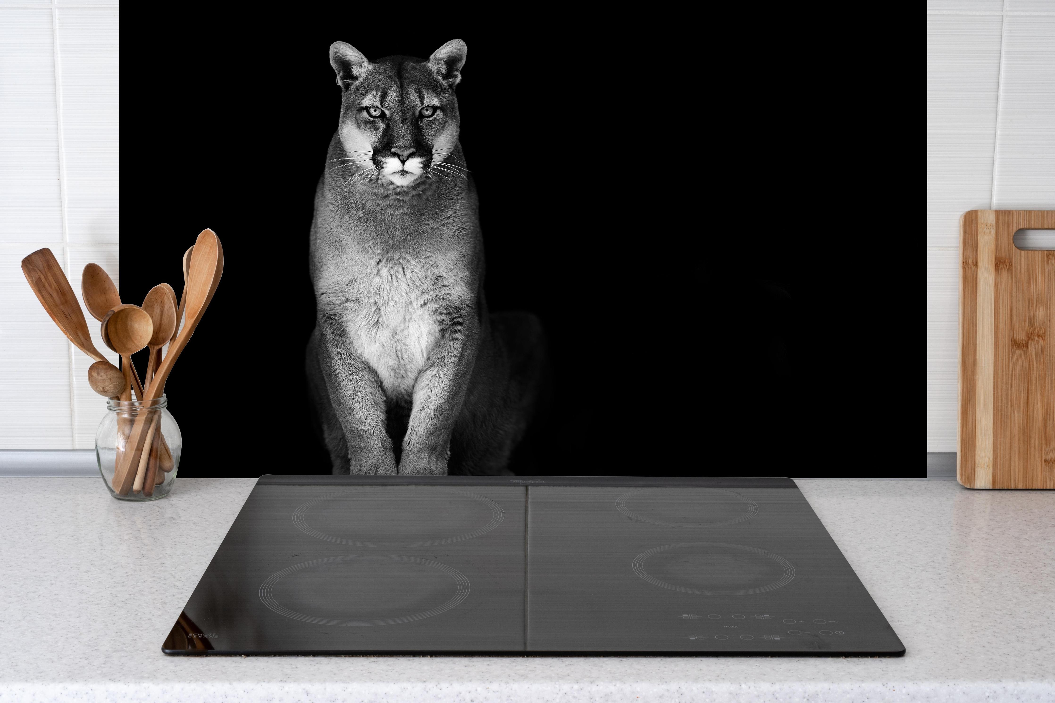 Spritzschutz - Porträt des Bergpumas hinter einem Cerankochfeld zwischen Holz-Kochutensilien