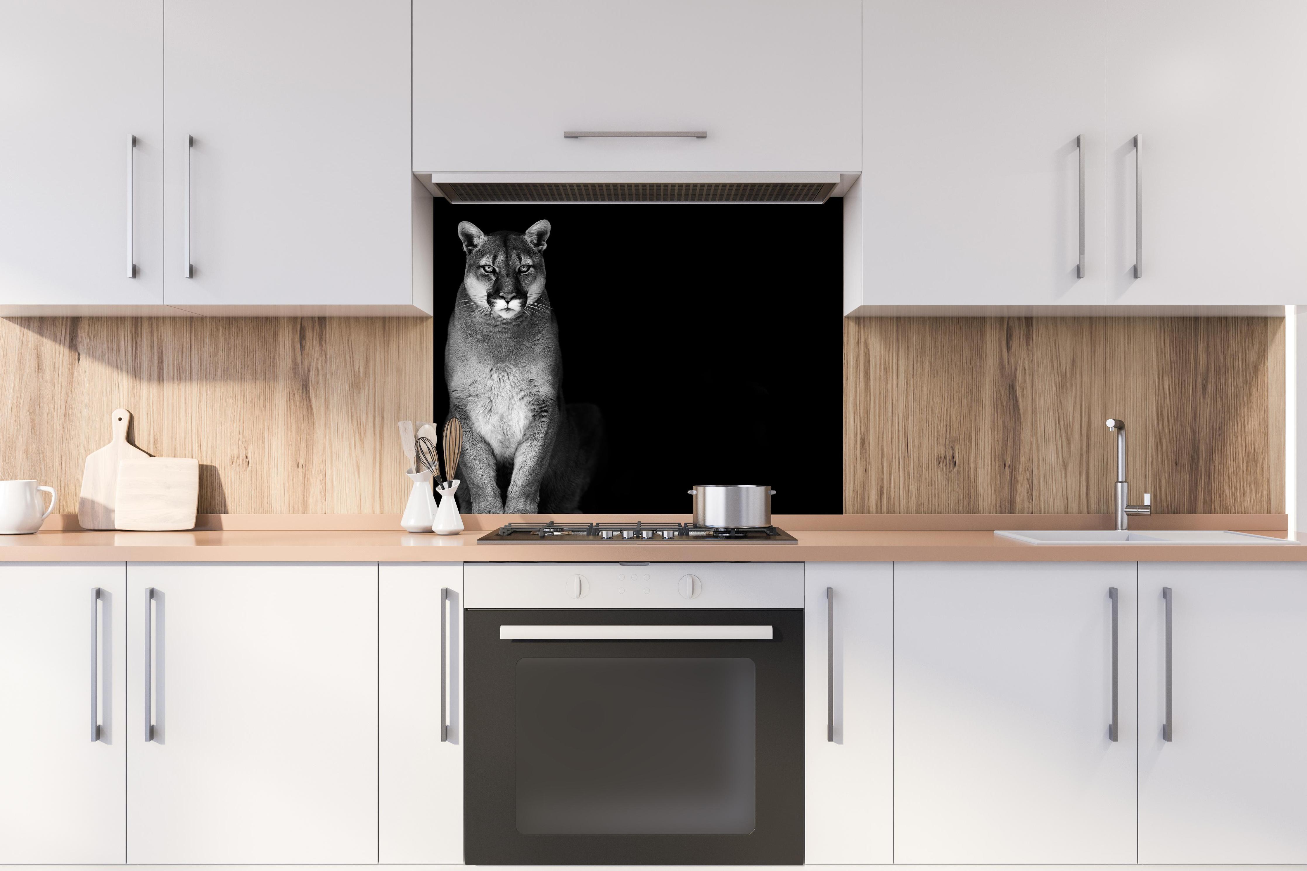 Spritzschutz - Porträt des Bergpumas hinter stilvollem Gasherd unter Dunstabzugshaube