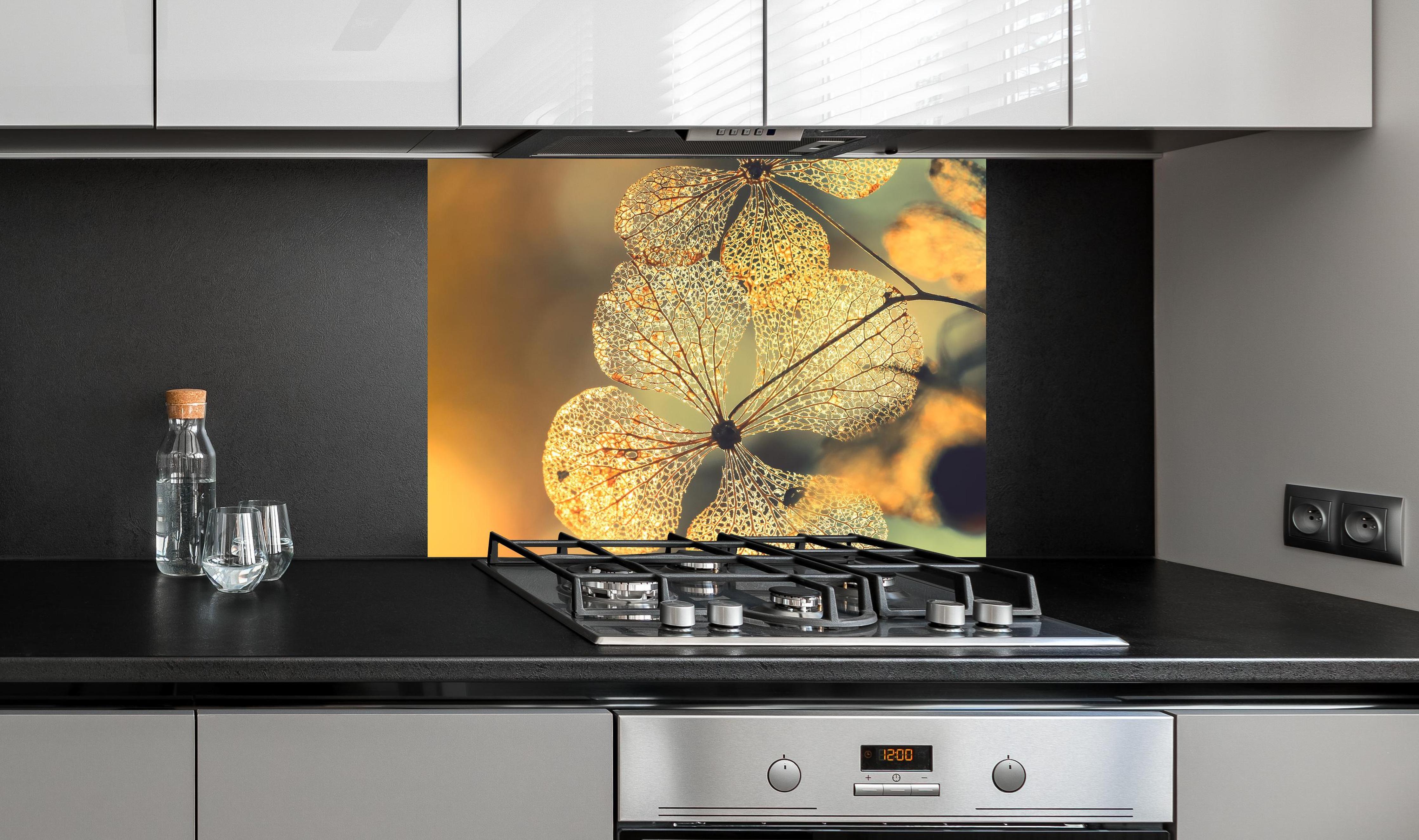 Spritzschutz - Prächtige Hortensienblüten an edler Anthrazit-Wand hinter silbernem Gasherd