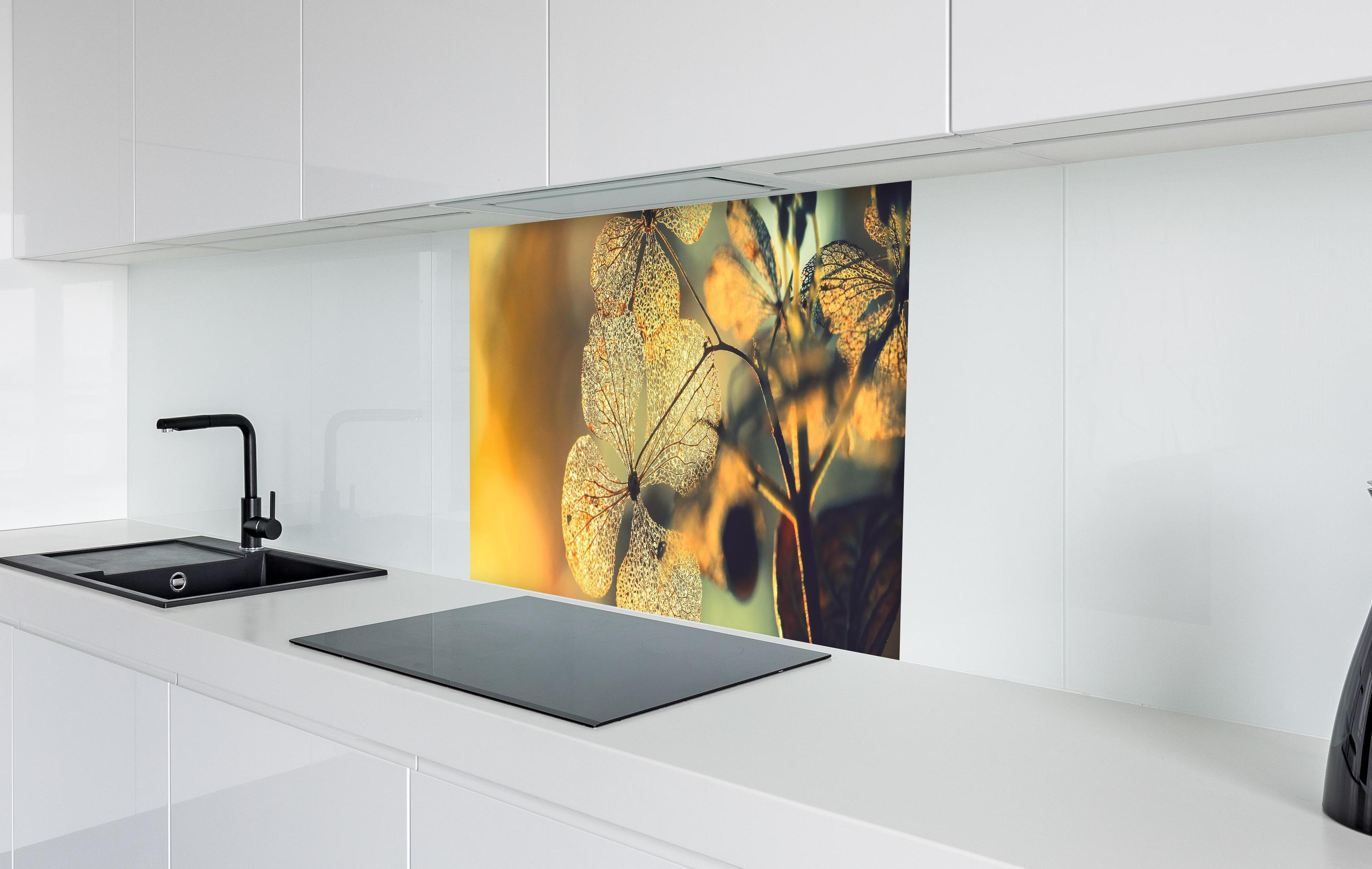 Spritzschutz - Prächtige Hortensienblüten in weißer Hochglanz-Küche hinter einem Cerankochfeld