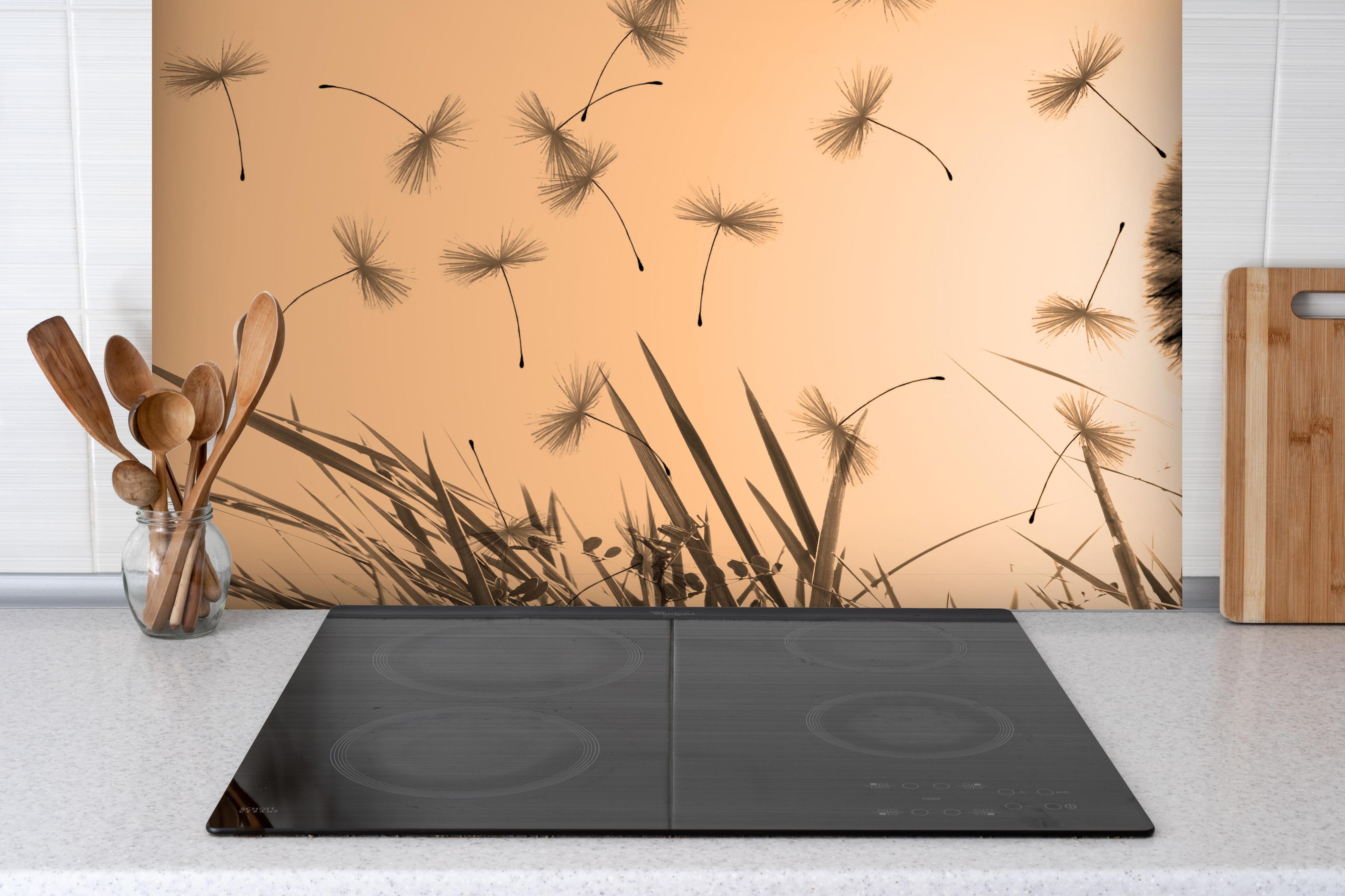 Spritzschutz - Pusteblume beim Sonnenuntergang hinter einem Cerankochfeld zwischen Holz-Kochutensilien