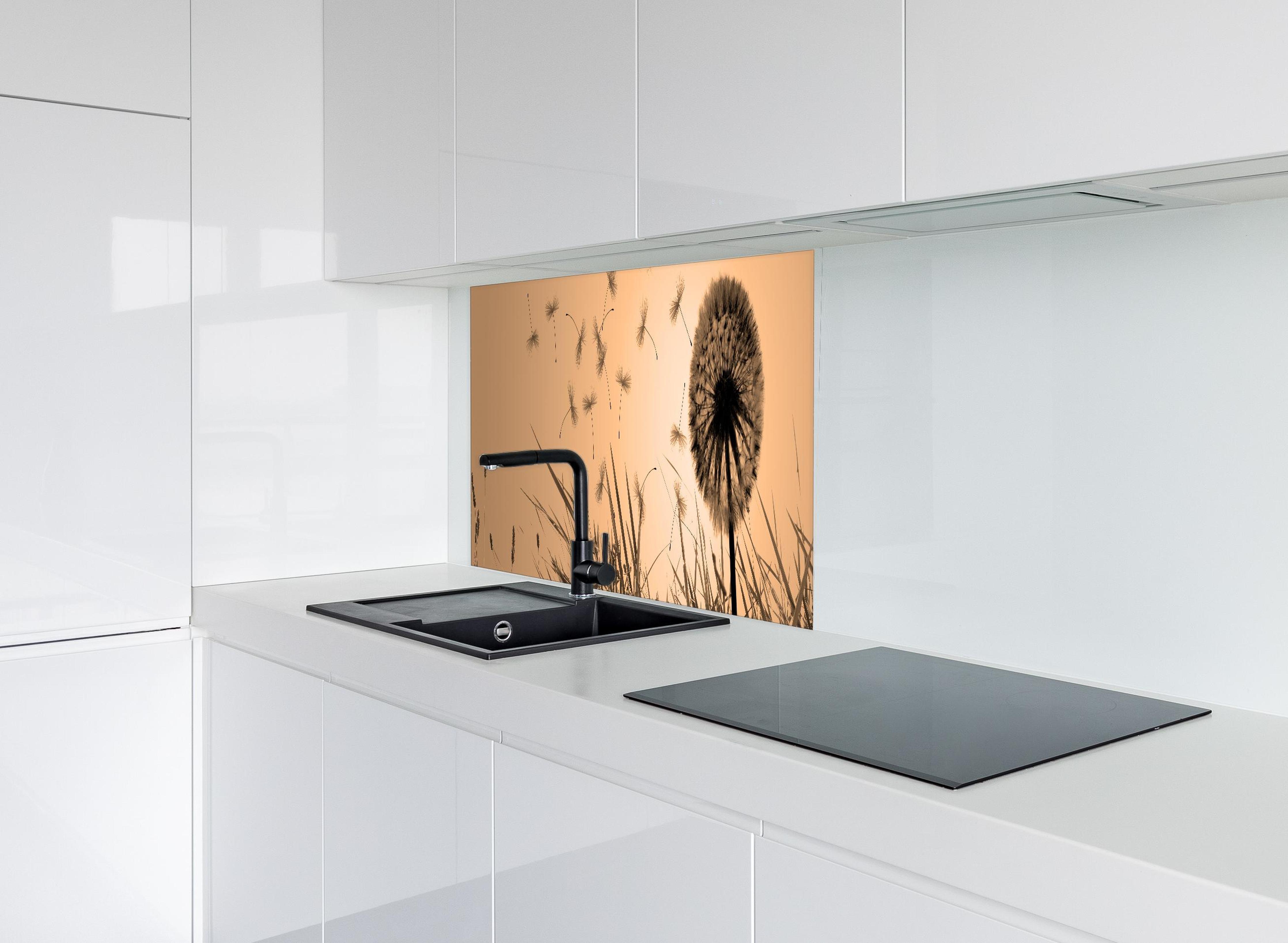 Spritzschutz - Pusteblume beim Sonnenuntergang hinter modernem schwarz-matten Spülbecken in weißer Hochglanz-Küche