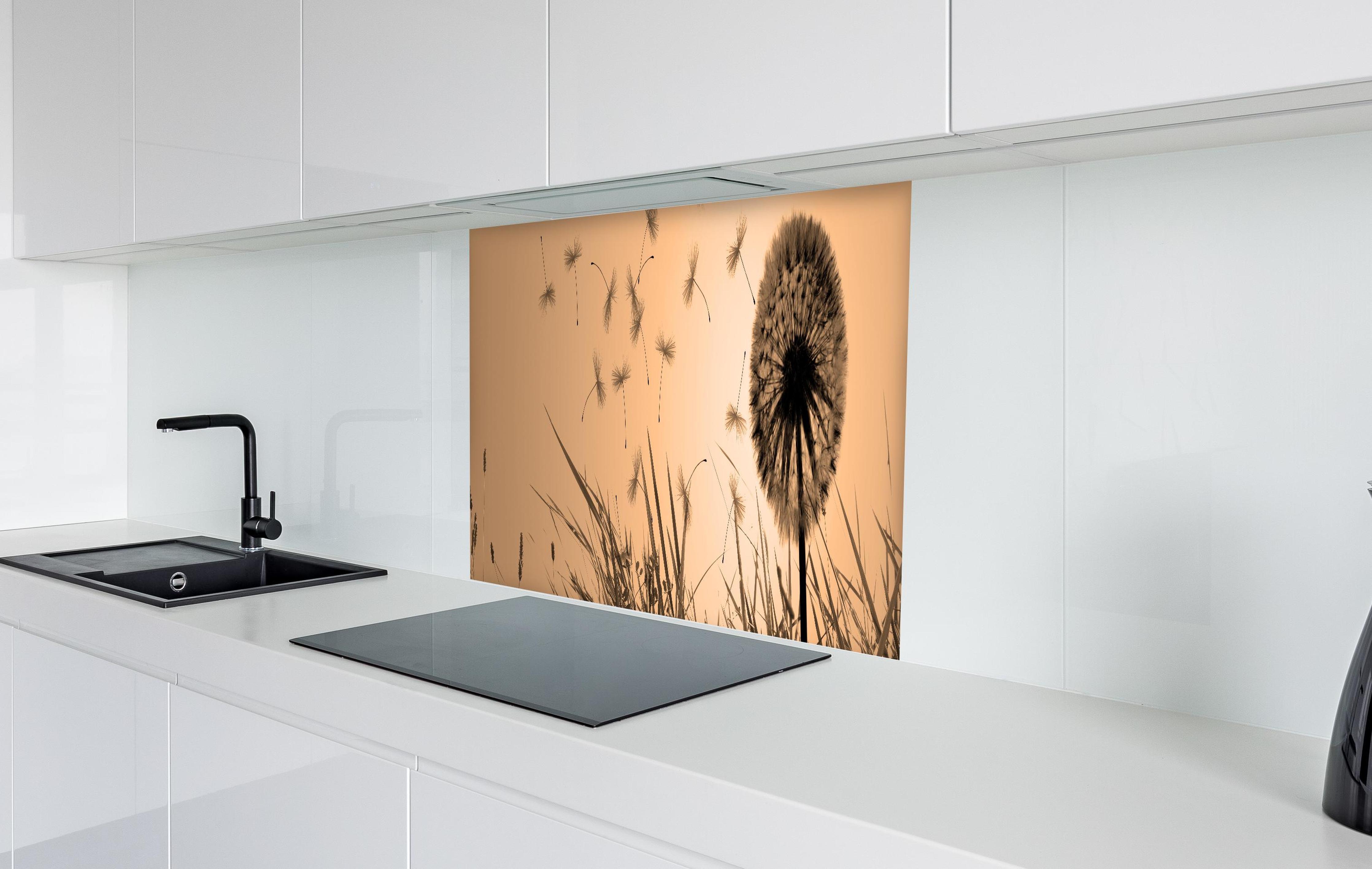 Spritzschutz - Pusteblume beim Sonnenuntergang in weißer Hochglanz-Küche hinter einem Cerankochfeld