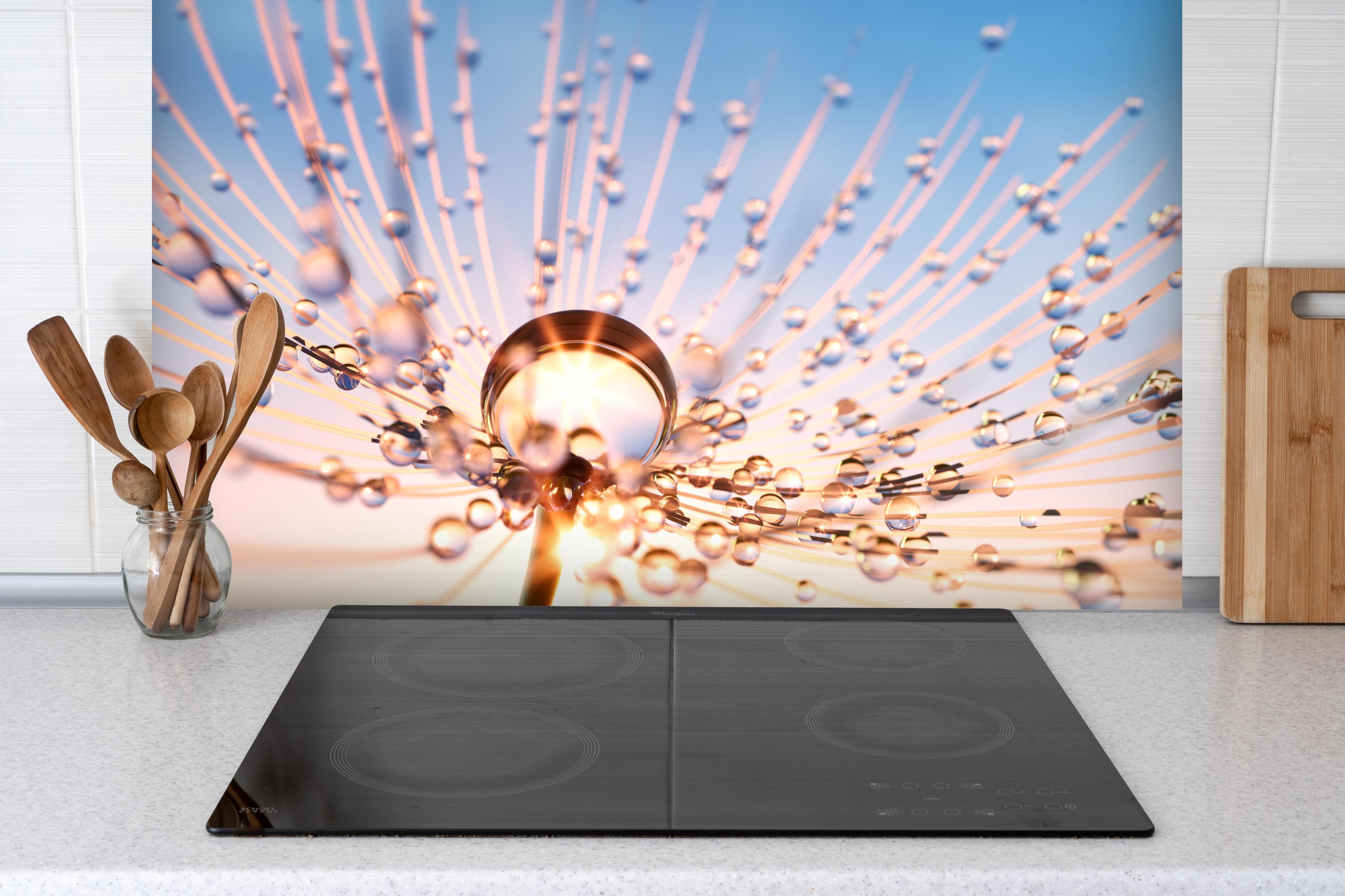 Spritzschutz - Pusteblume in Nahaufnahme mit Tautropfen hinter einem Cerankochfeld zwischen Holz-Kochutensilien