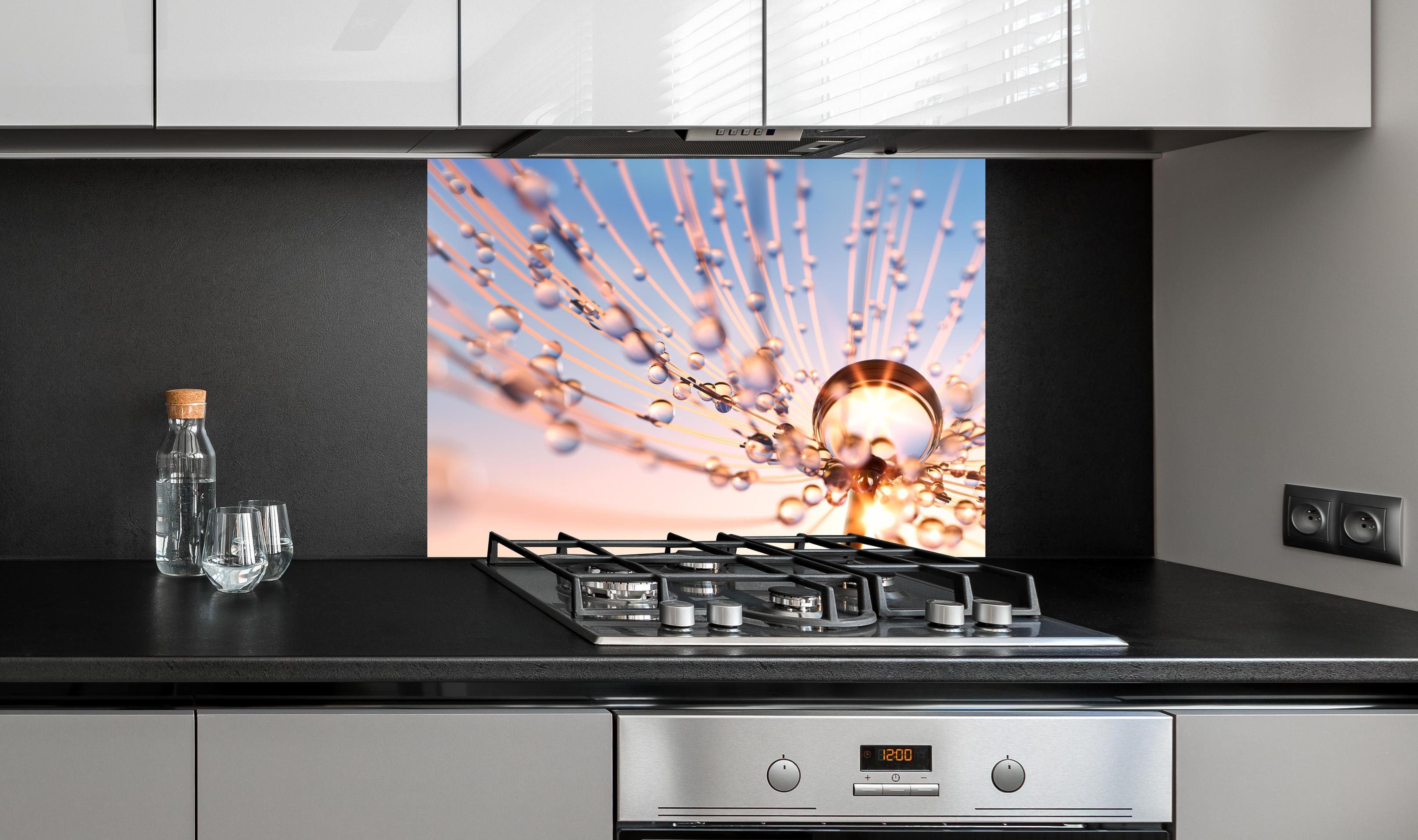 Spritzschutz - Pusteblume in Nahaufnahme mit Tautropfen an edler Anthrazit-Wand hinter silbernem Gasherd