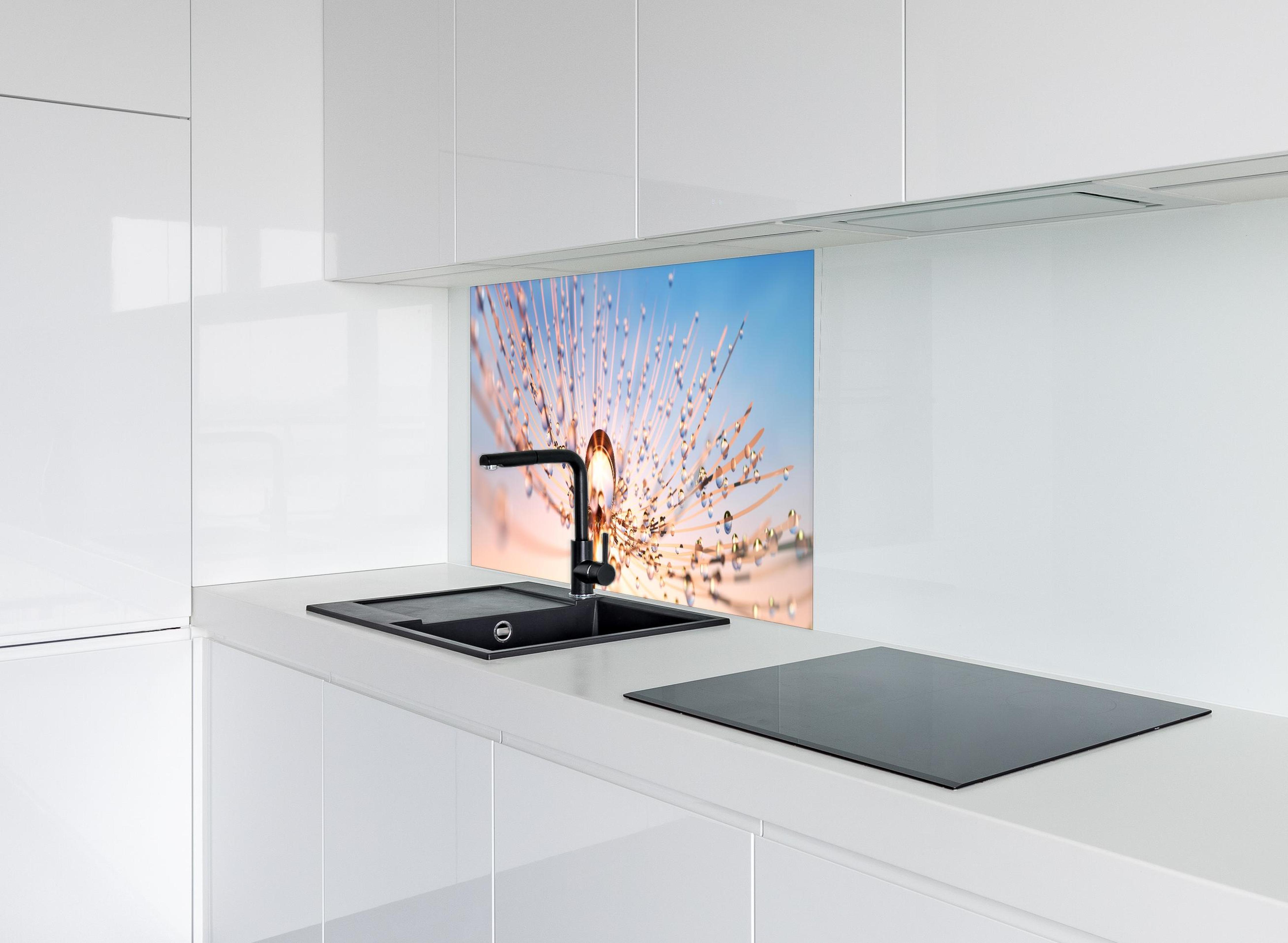 Spritzschutz - Pusteblume in Nahaufnahme mit Tautropfen hinter modernem schwarz-matten Spülbecken in weißer Hochglanz-Küche