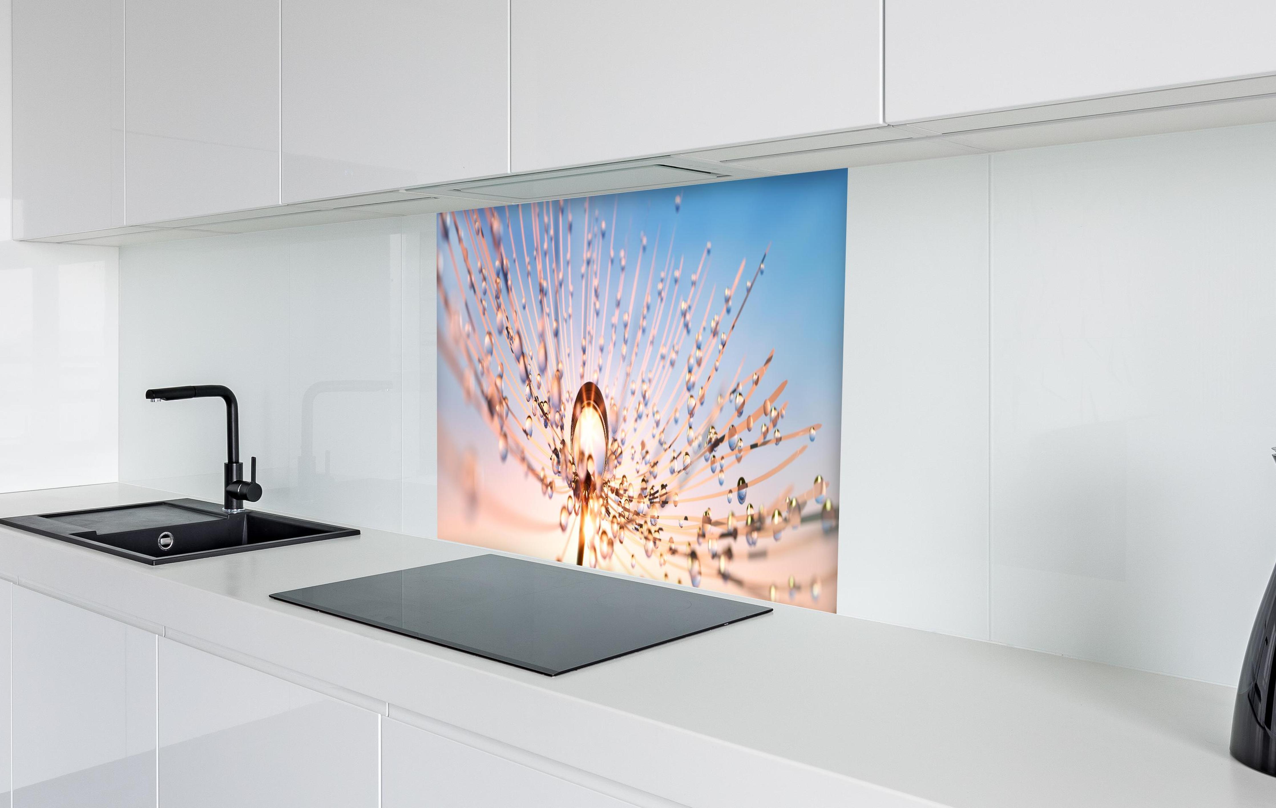 Spritzschutz - Pusteblume in Nahaufnahme mit Tautropfen in weißer Hochglanz-Küche hinter einem Cerankochfeld