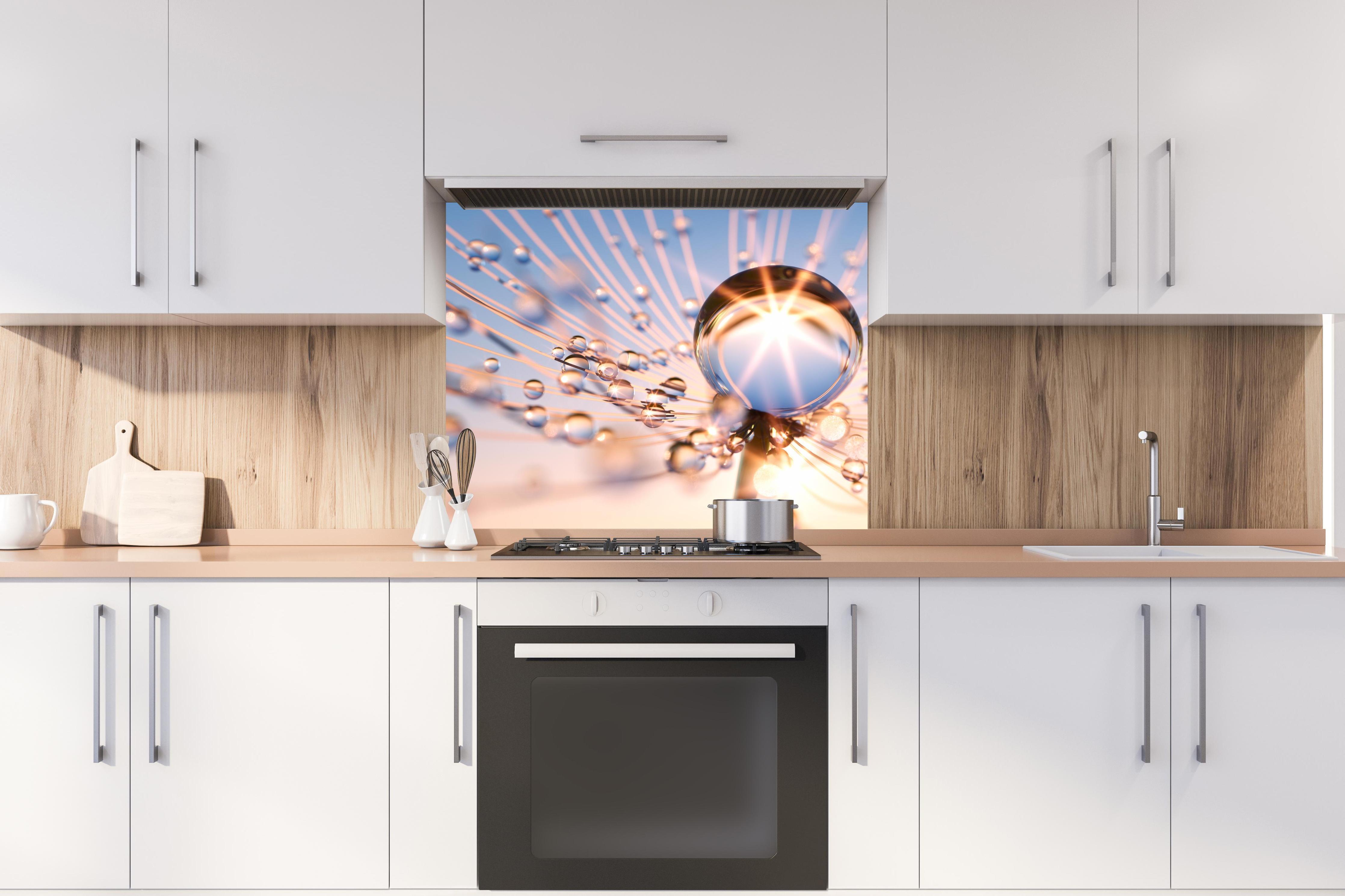 Spritzschutz - Pusteblume in Nahaufnahme mit Tautropfen hinter stilvollem Gasherd unter Dunstabzugshaube