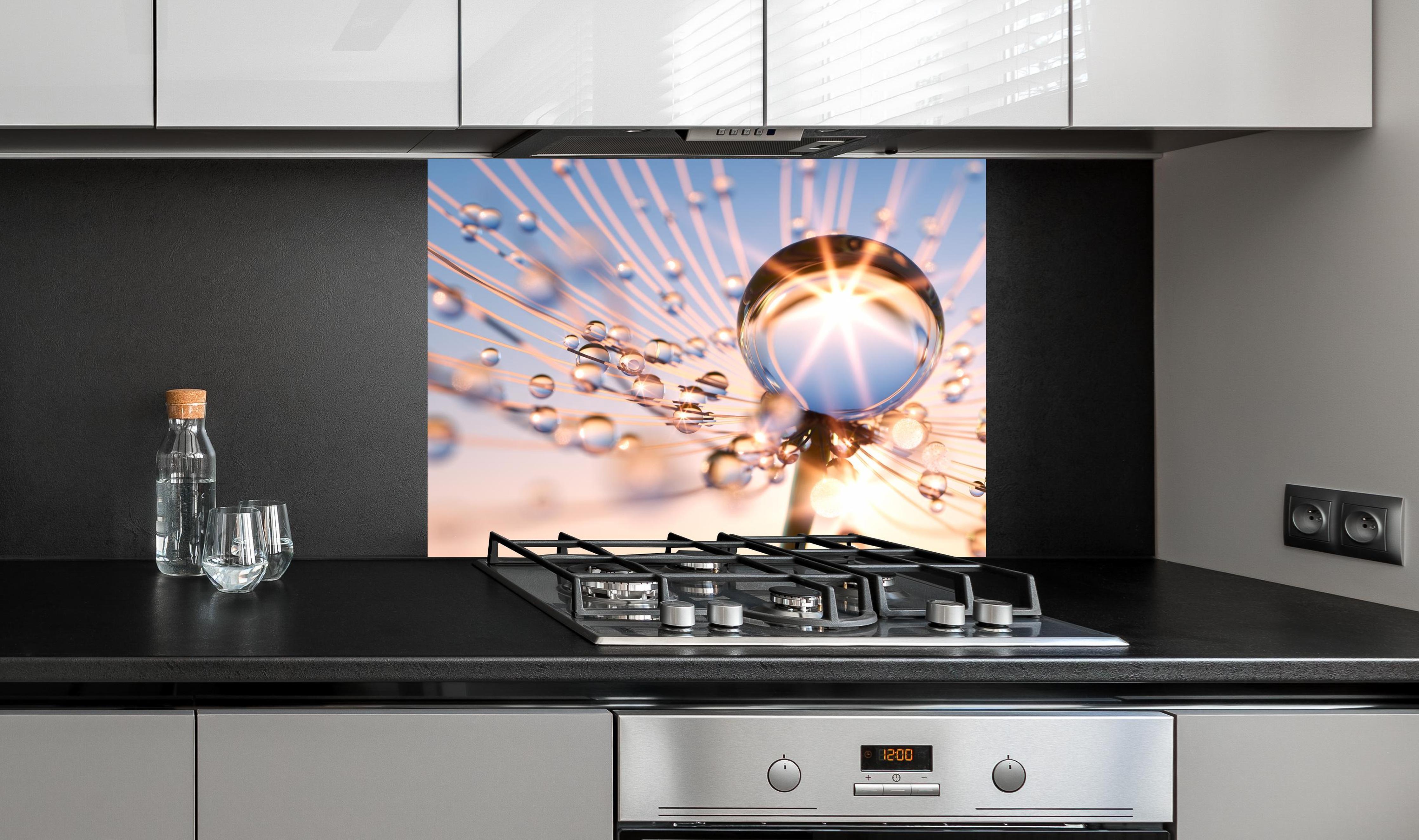 Spritzschutz - Pusteblume in Nahaufnahme mit Tautropfen an edler Anthrazit-Wand hinter silbernem Gasherd