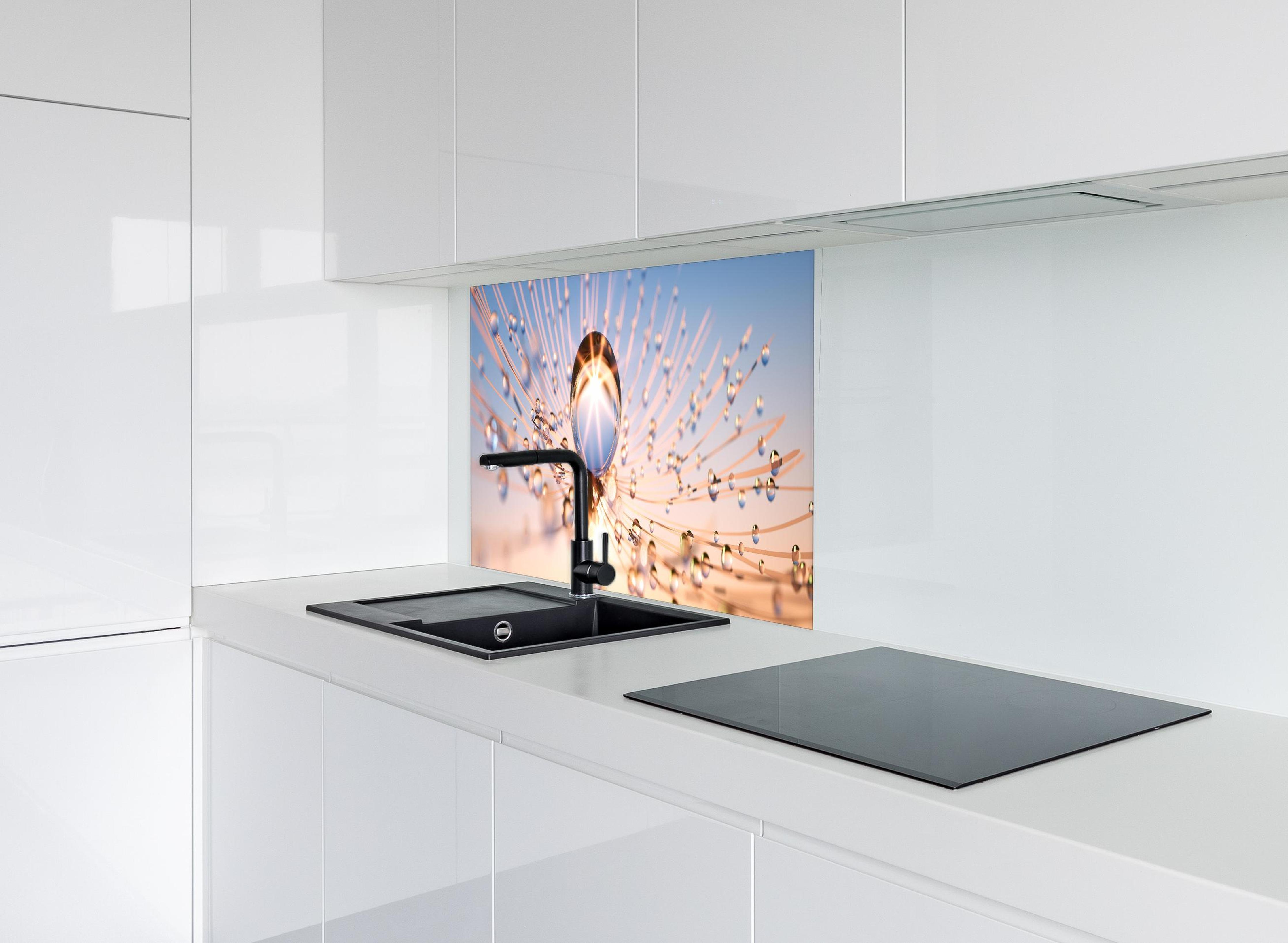 Spritzschutz - Pusteblume in Nahaufnahme mit Tautropfen hinter modernem schwarz-matten Spülbecken in weißer Hochglanz-Küche