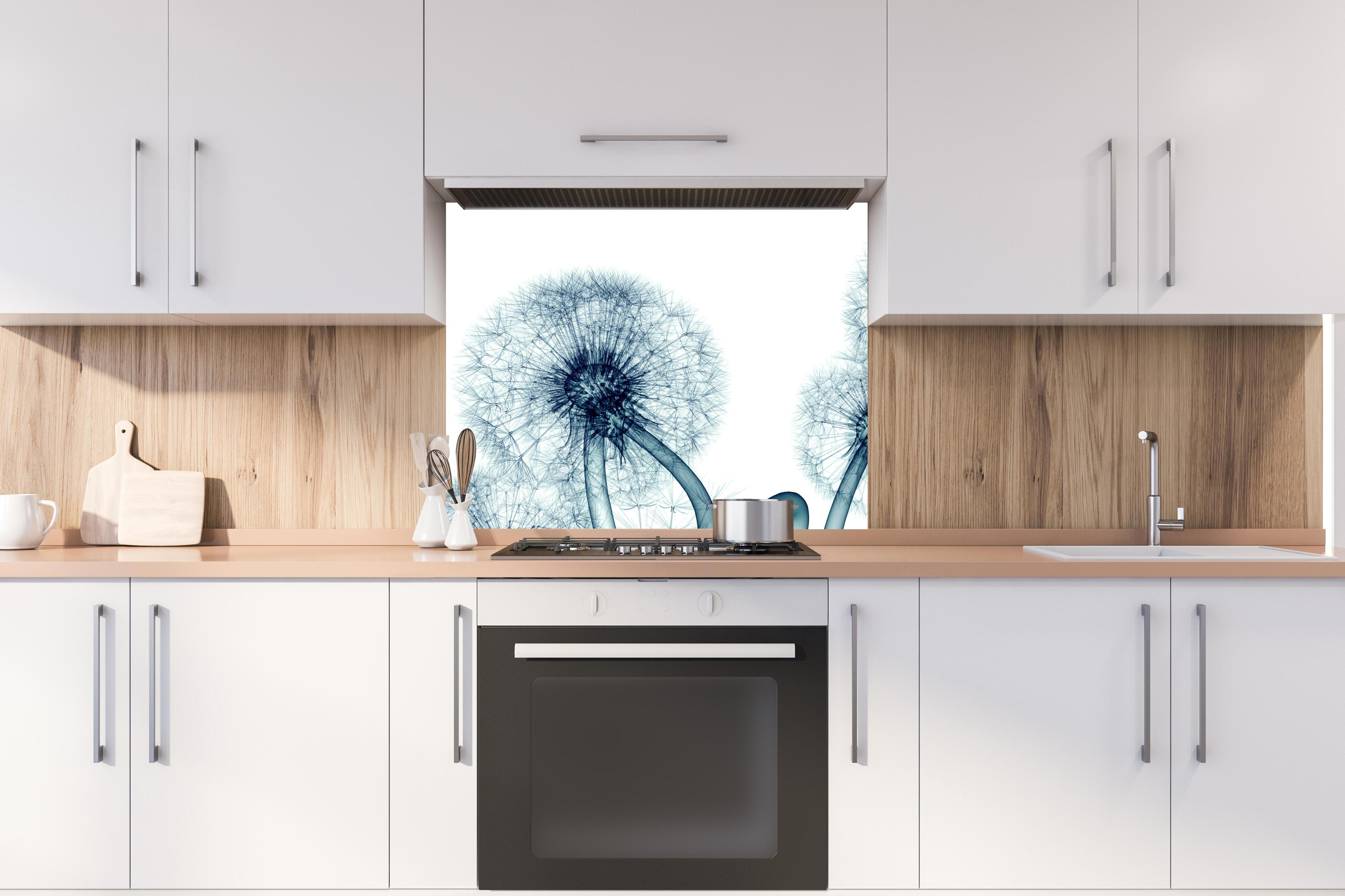 Spritzschutz - Röntgenbild eines Löwenzahns hinter stilvollem Gasherd unter Dunstabzugshaube