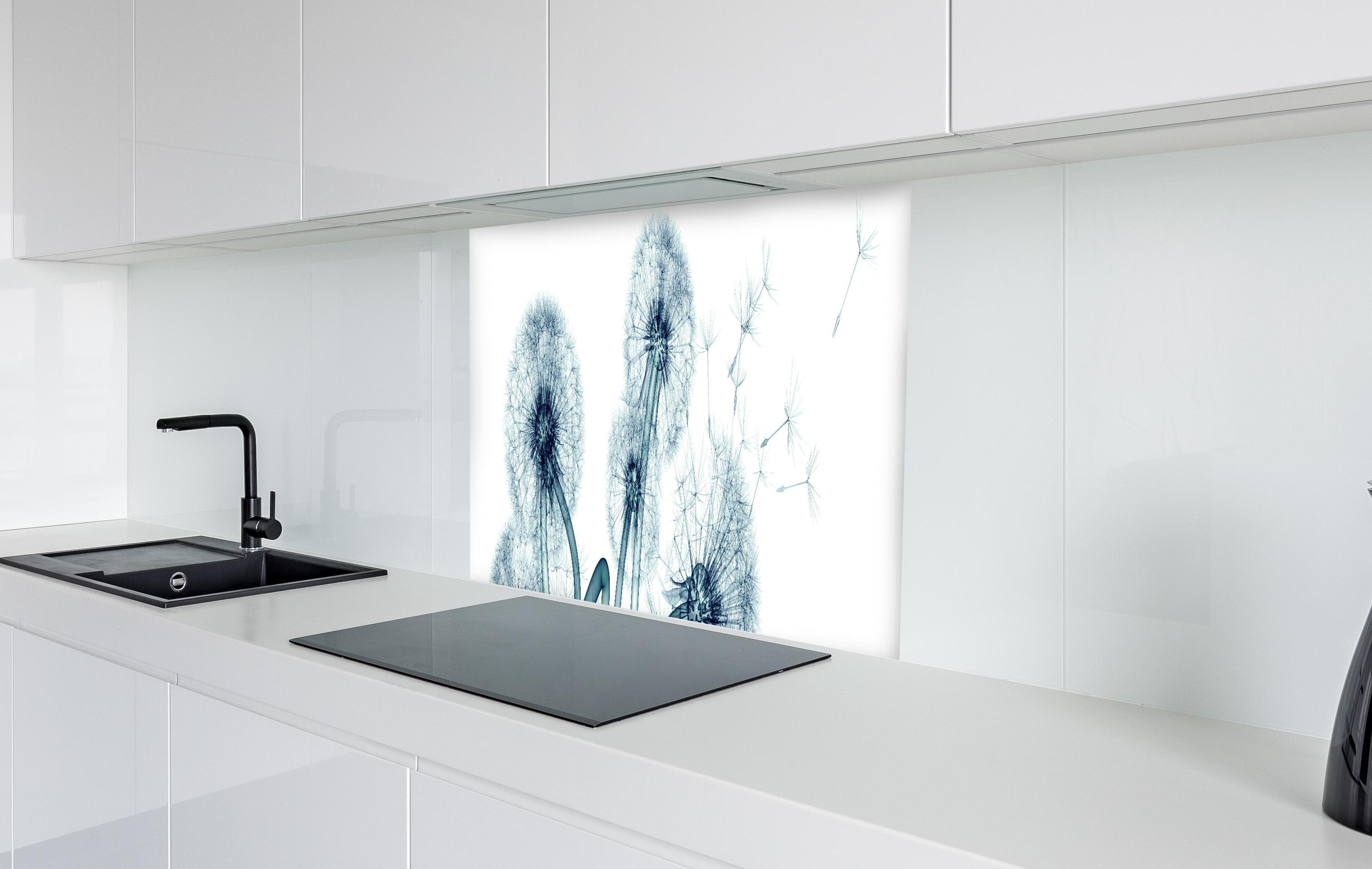 Spritzschutz - Röntgenbild eines Löwenzahns in weißer Hochglanz-Küche hinter einem Cerankochfeld