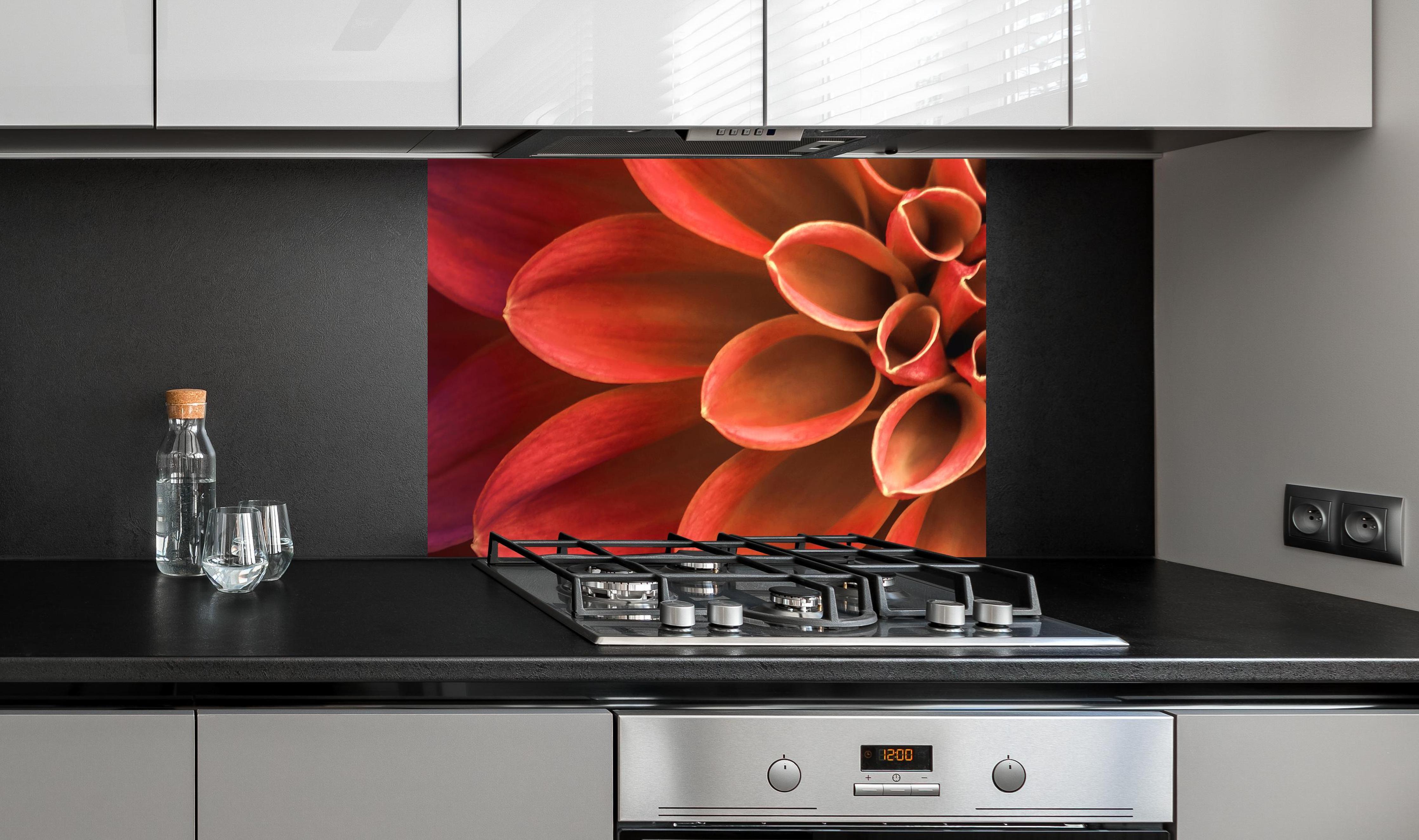 Spritzschutz - Rosa und lila Dahlienblütenblätter an edler Anthrazit-Wand hinter silbernem Gasherd