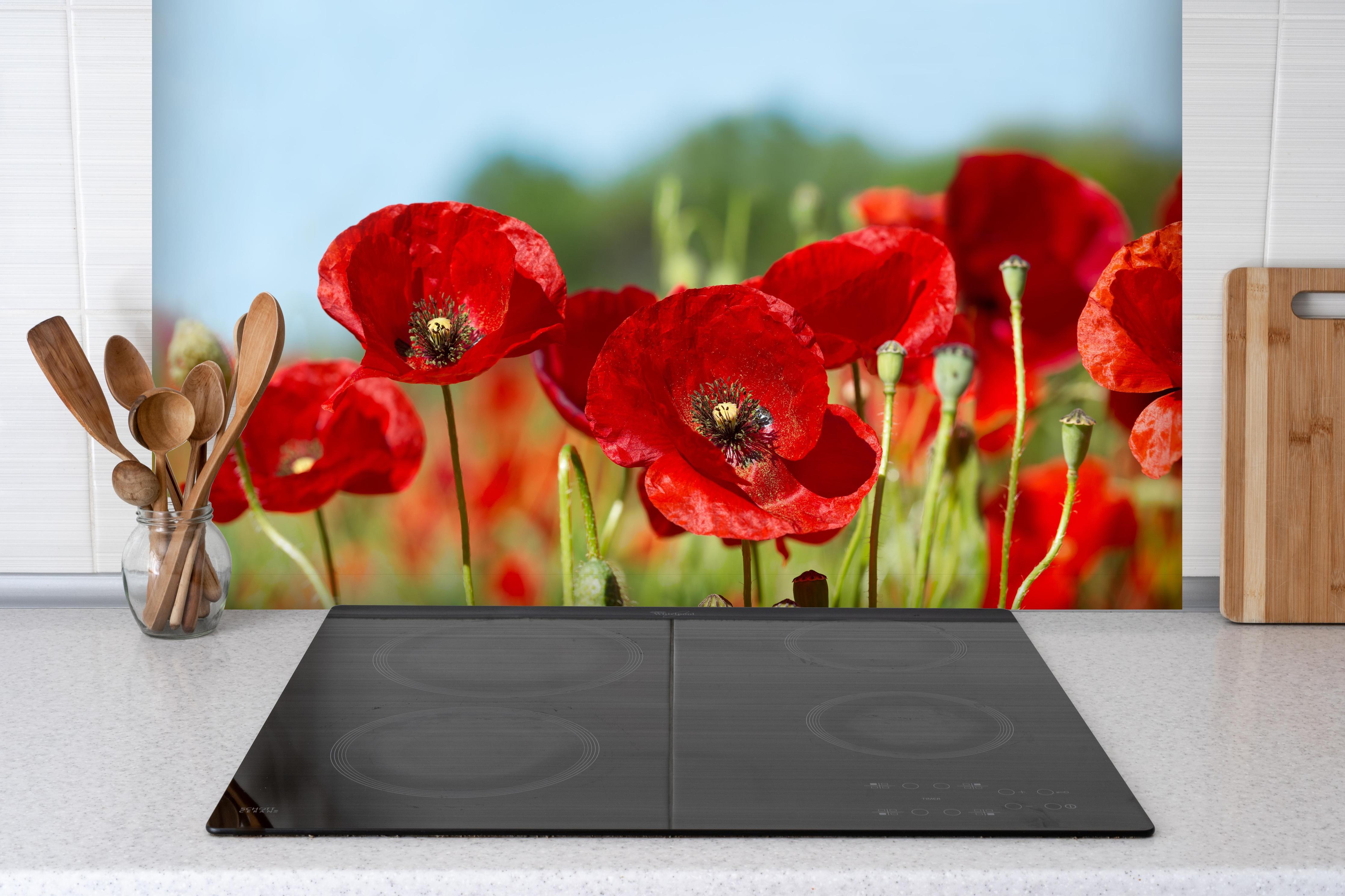 Spritzschutz - Rote Mohnblumen auf einem Feld hinter einem Cerankochfeld zwischen Holz-Kochutensilien