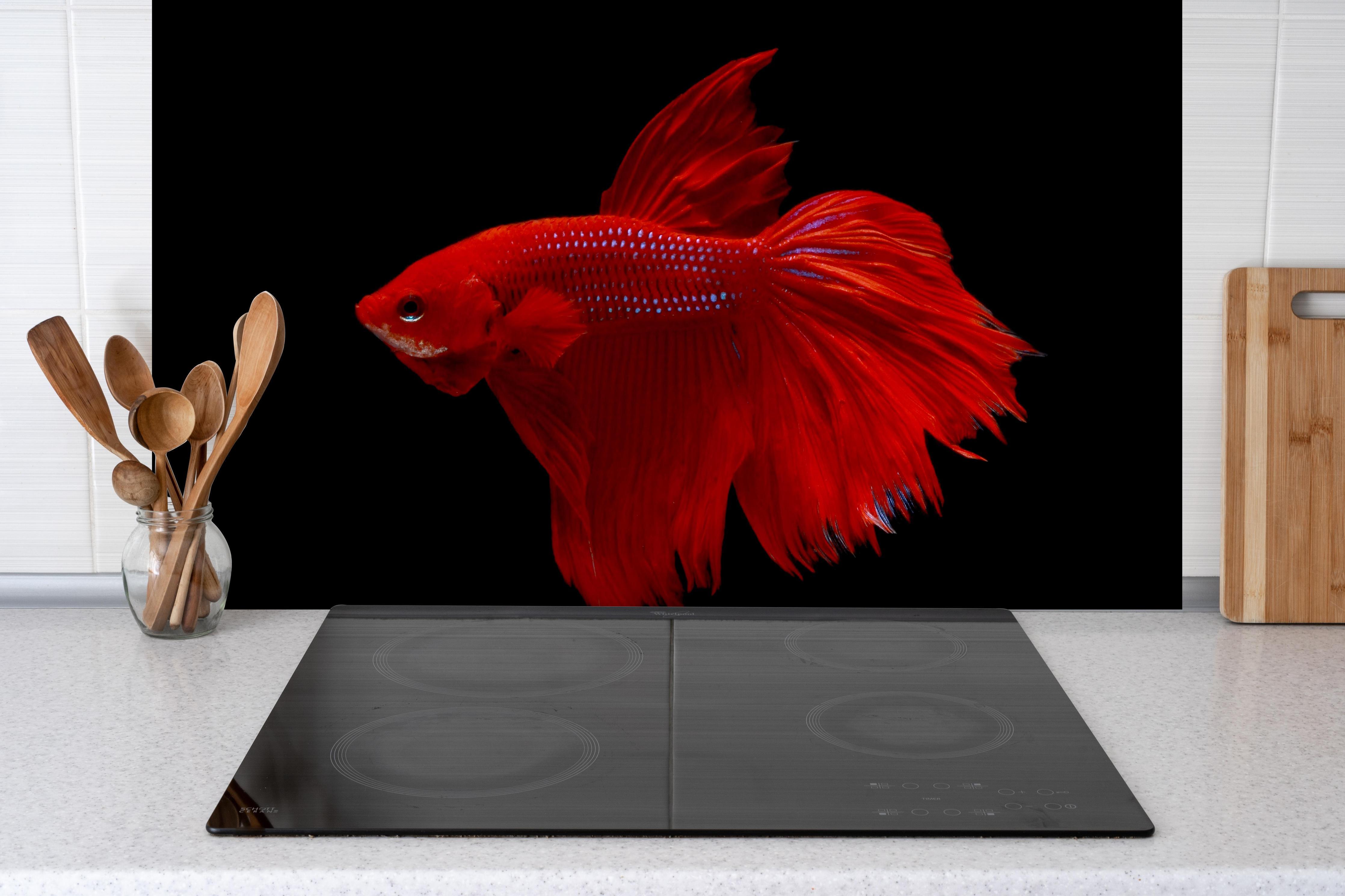 Spritzschutz - Roter Betta-Kampffisch hinter einem Cerankochfeld zwischen Holz-Kochutensilien