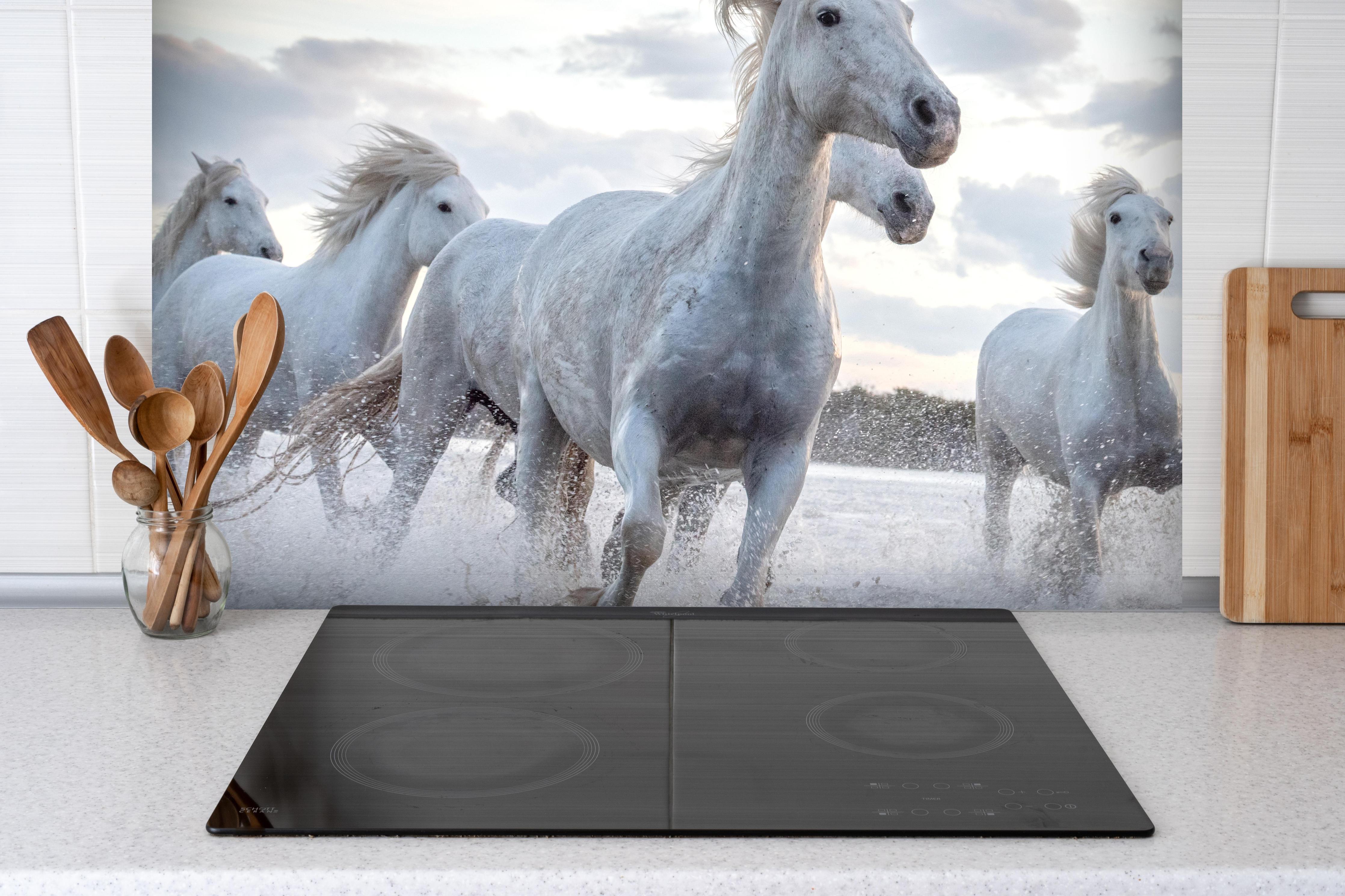 Spritzschutz - Ruhiger Eiffelturm bei Tag hinter einem Cerankochfeld zwischen Holz-Kochutensilien