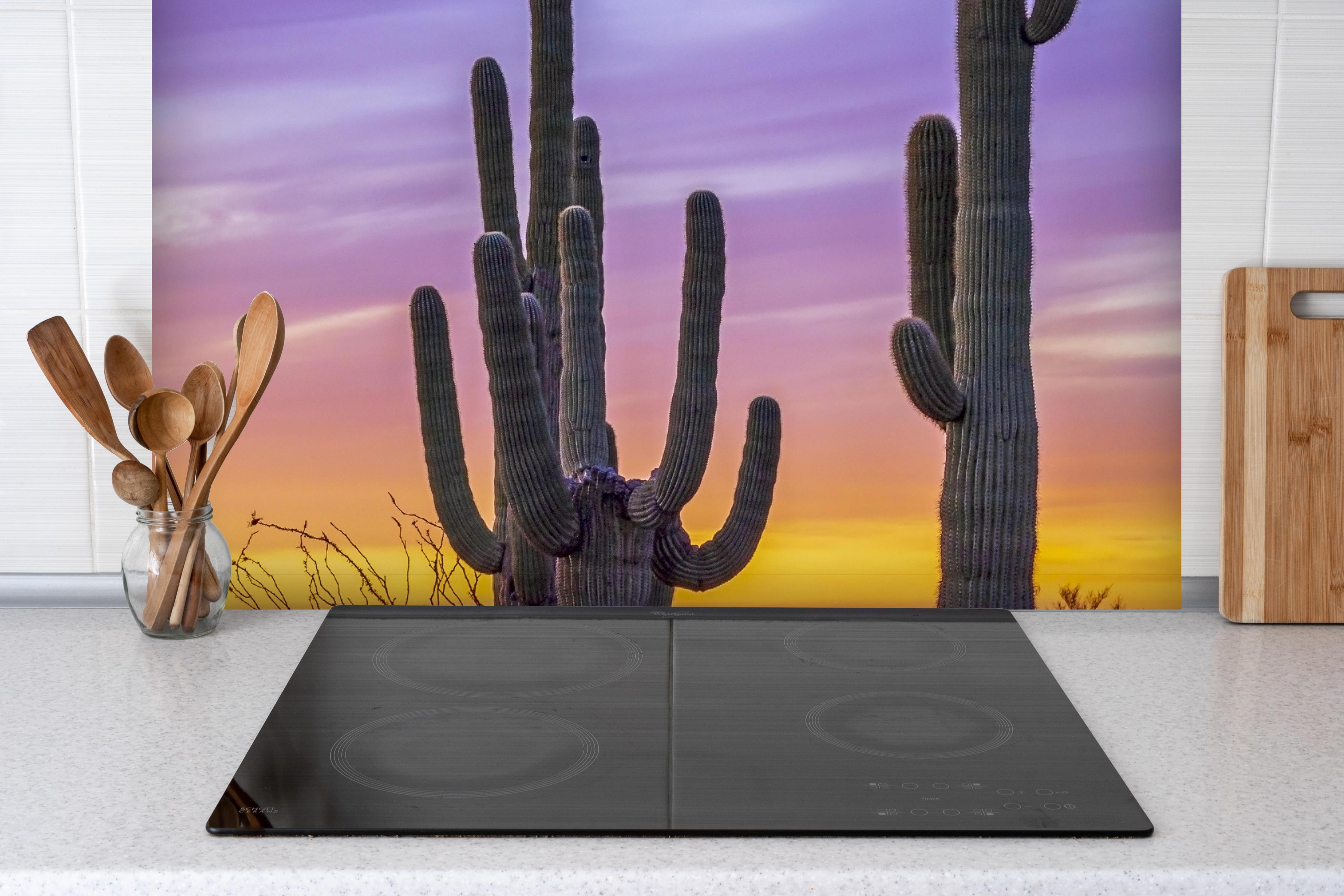 Spritzschutz - Saguaro-Kaktus bei Sonnenuntergang in Arizona hinter einem Cerankochfeld zwischen Holz-Kochutensilien