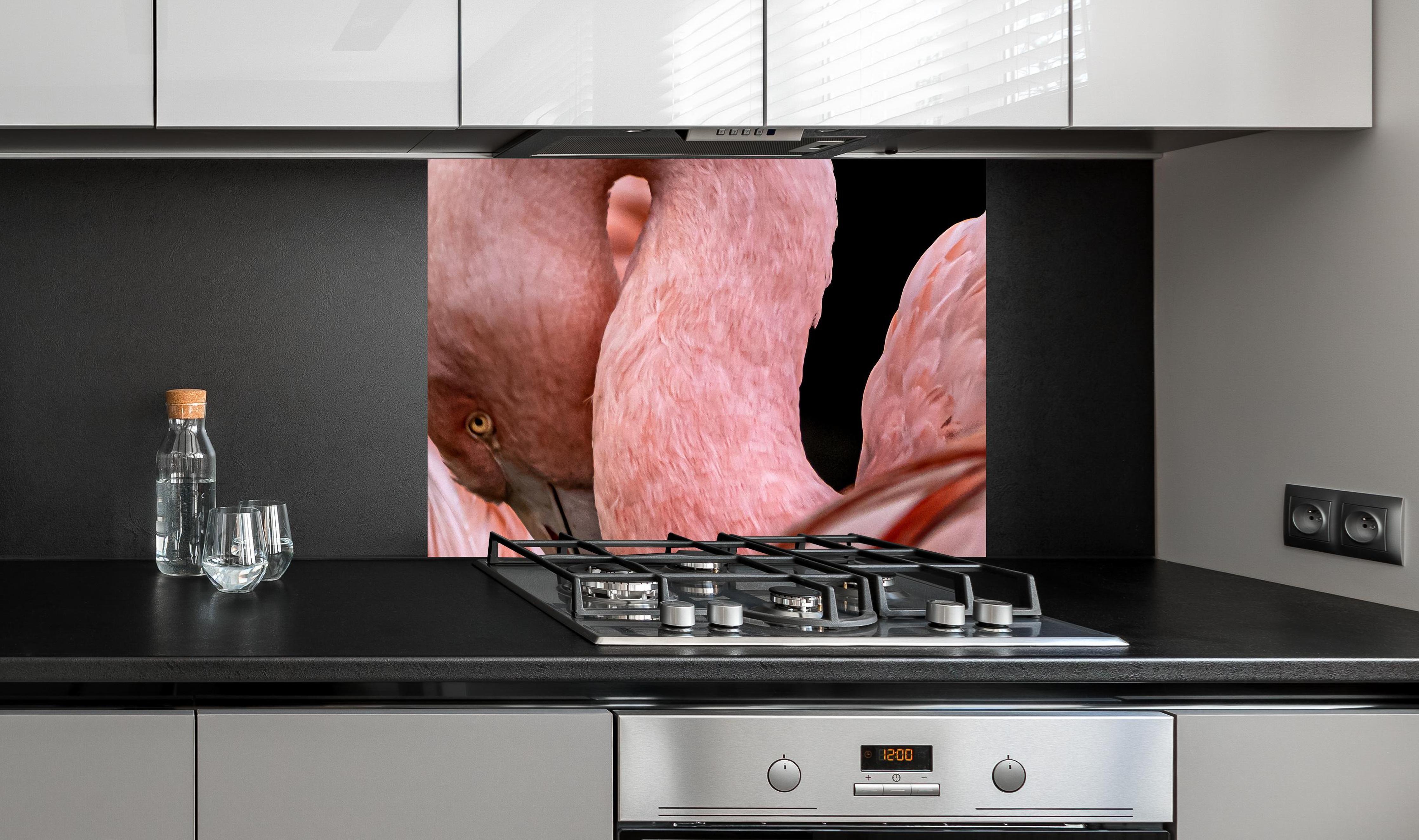 Spritzschutz - Schnappschuss eines Flamingo an edler Anthrazit-Wand hinter silbernem Gasherd