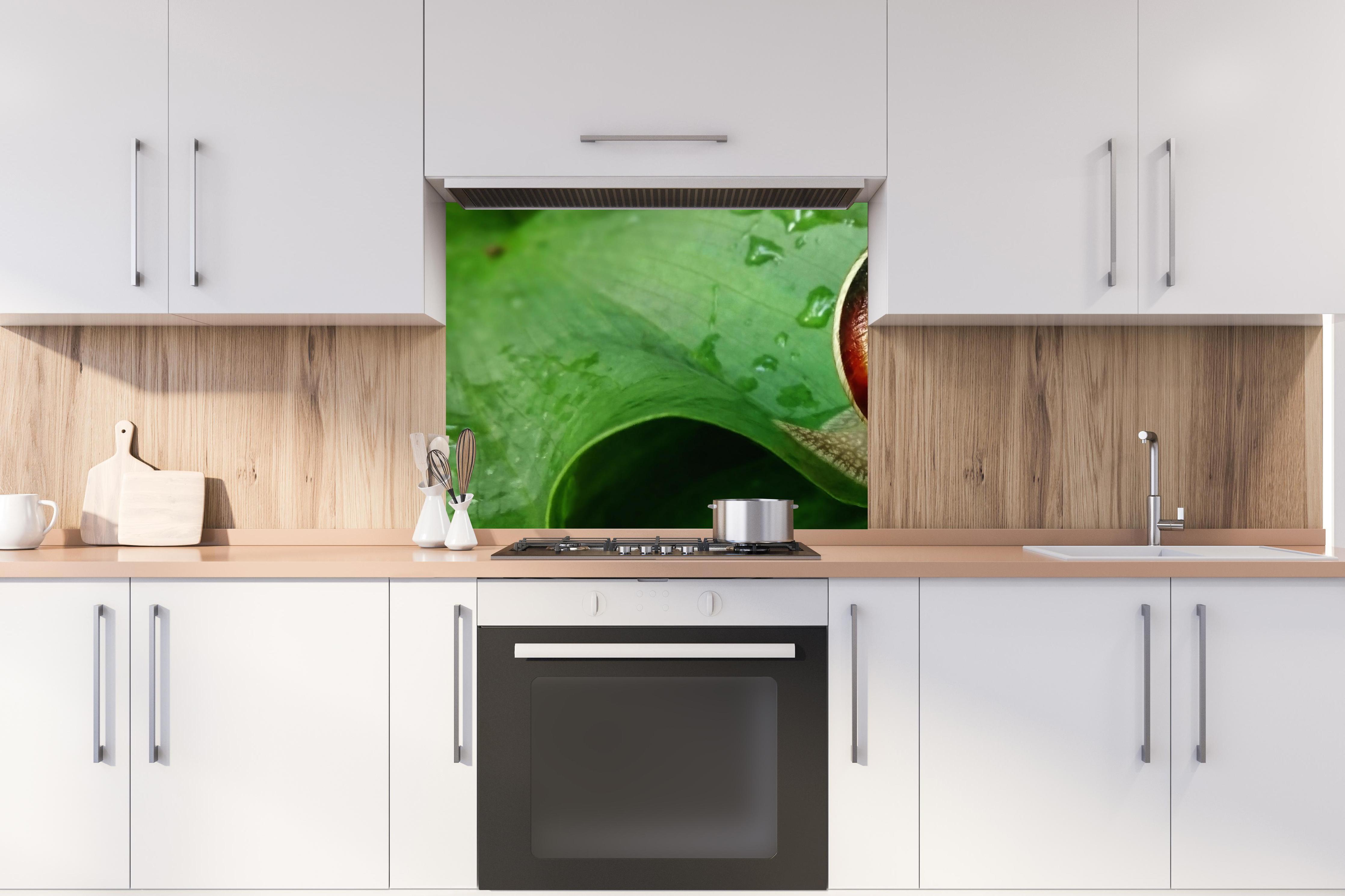 Spritzschutz - Schnecke auf einem nassen Blatt hinter stilvollem Gasherd unter Dunstabzugshaube