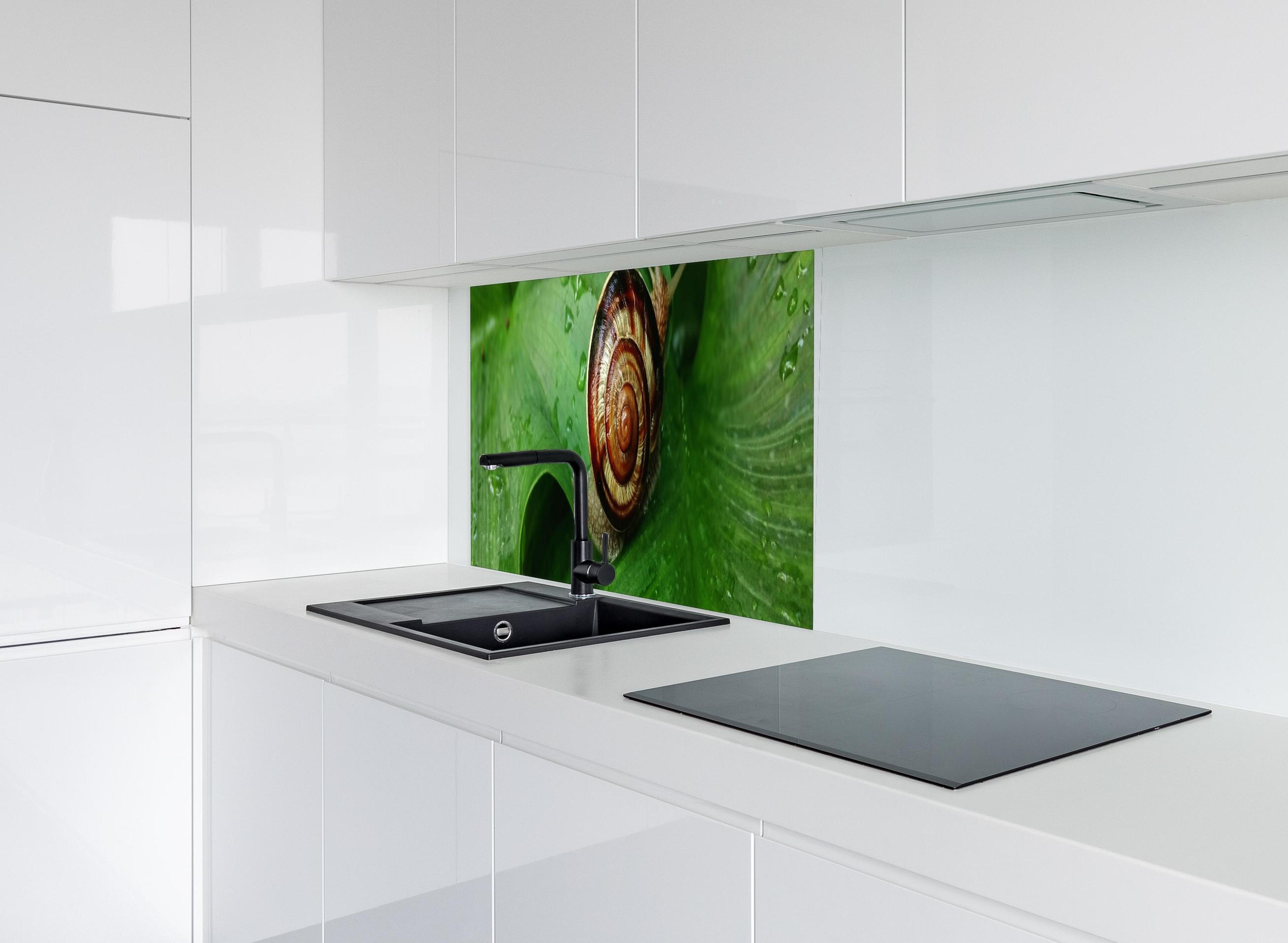 Spritzschutz - Schnecke auf einem nassen Blatt hinter modernem schwarz-matten Spülbecken in weißer Hochglanz-Küche