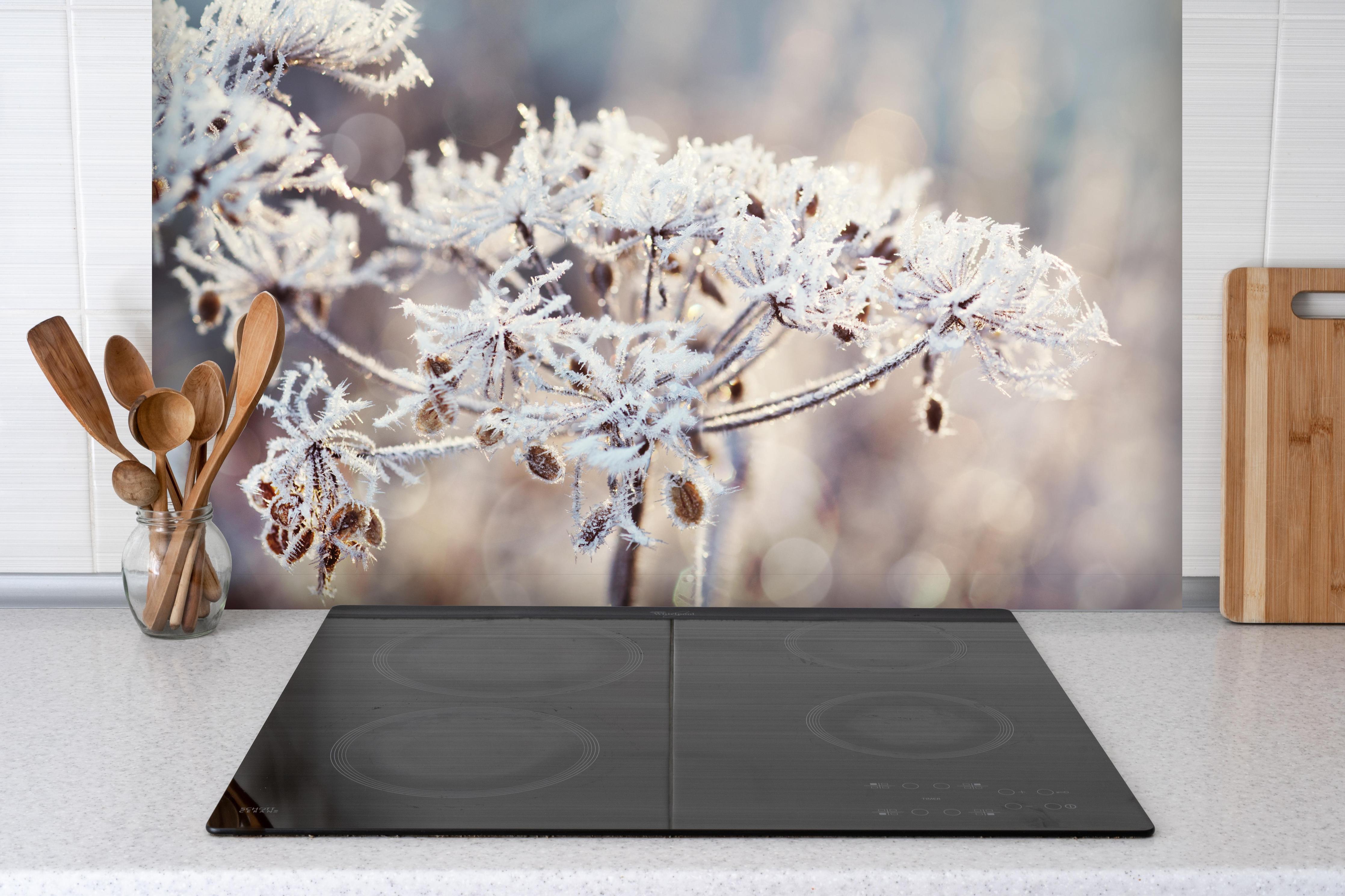 Spritzschutz - Schneetau auf Pflanzen hinter einem Cerankochfeld zwischen Holz-Kochutensilien