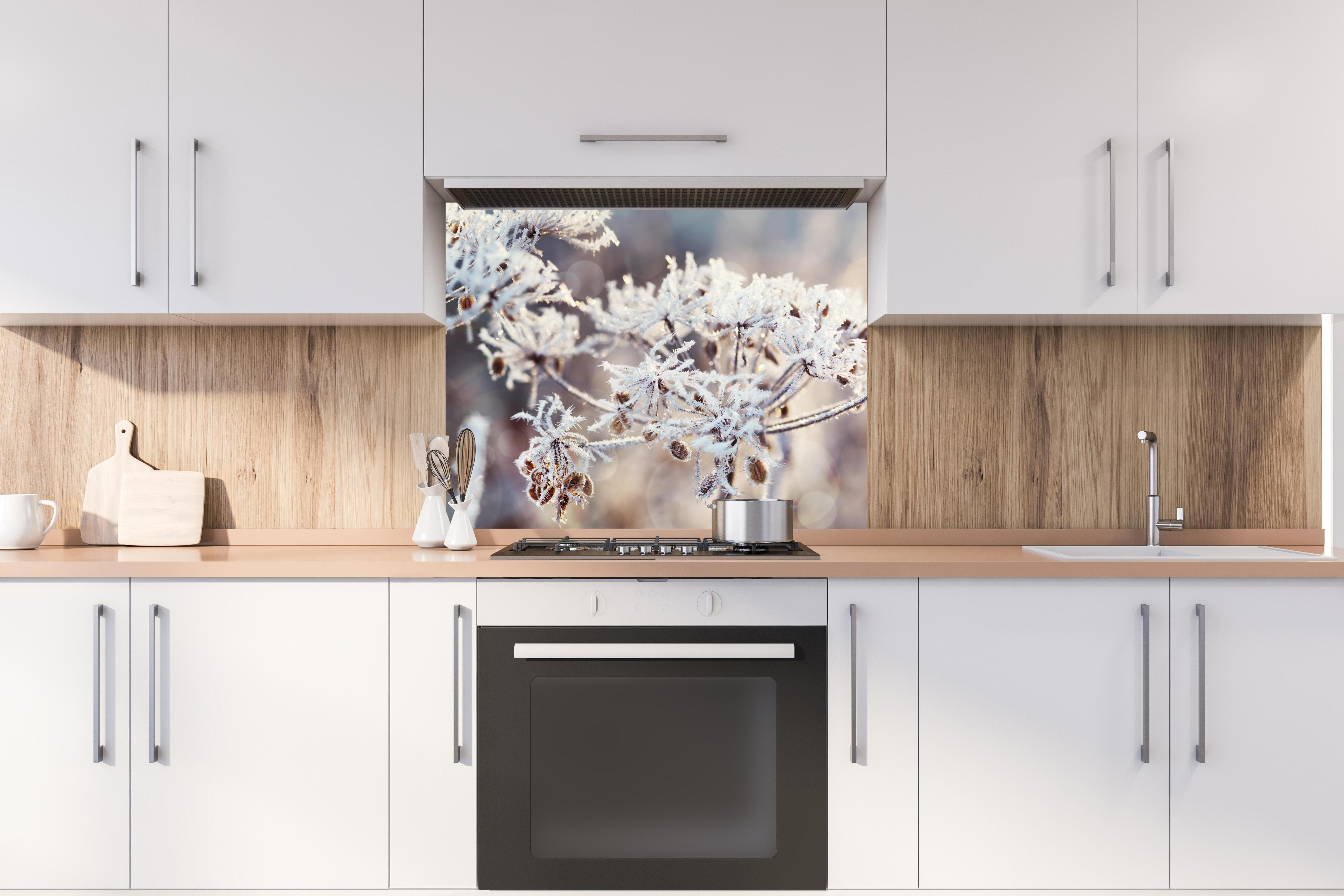 Spritzschutz - Schneetau auf Pflanzen hinter stilvollem Gasherd unter Dunstabzugshaube