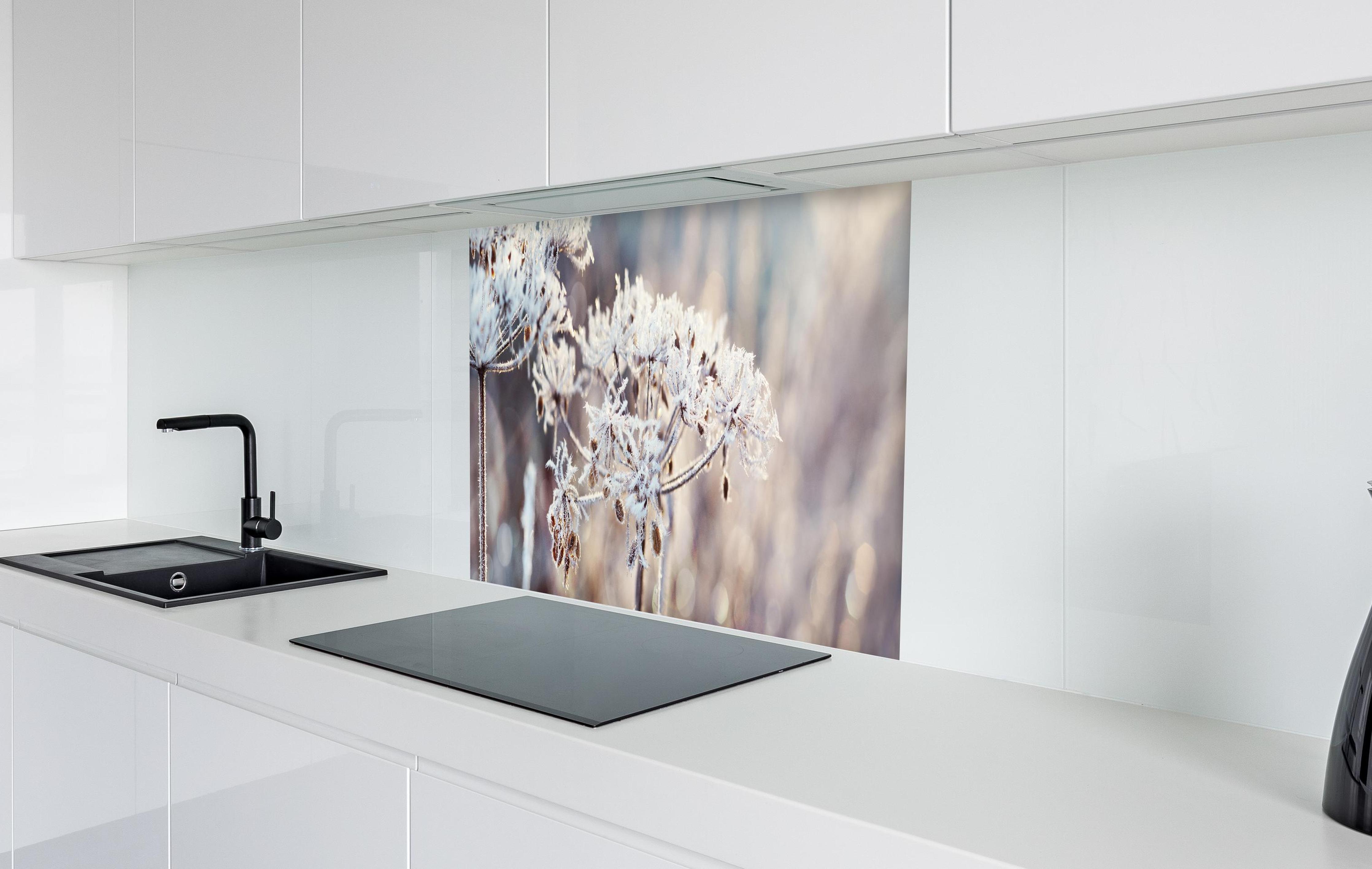 Spritzschutz - Schneetau auf Pflanzen in weißer Hochglanz-Küche hinter einem Cerankochfeld