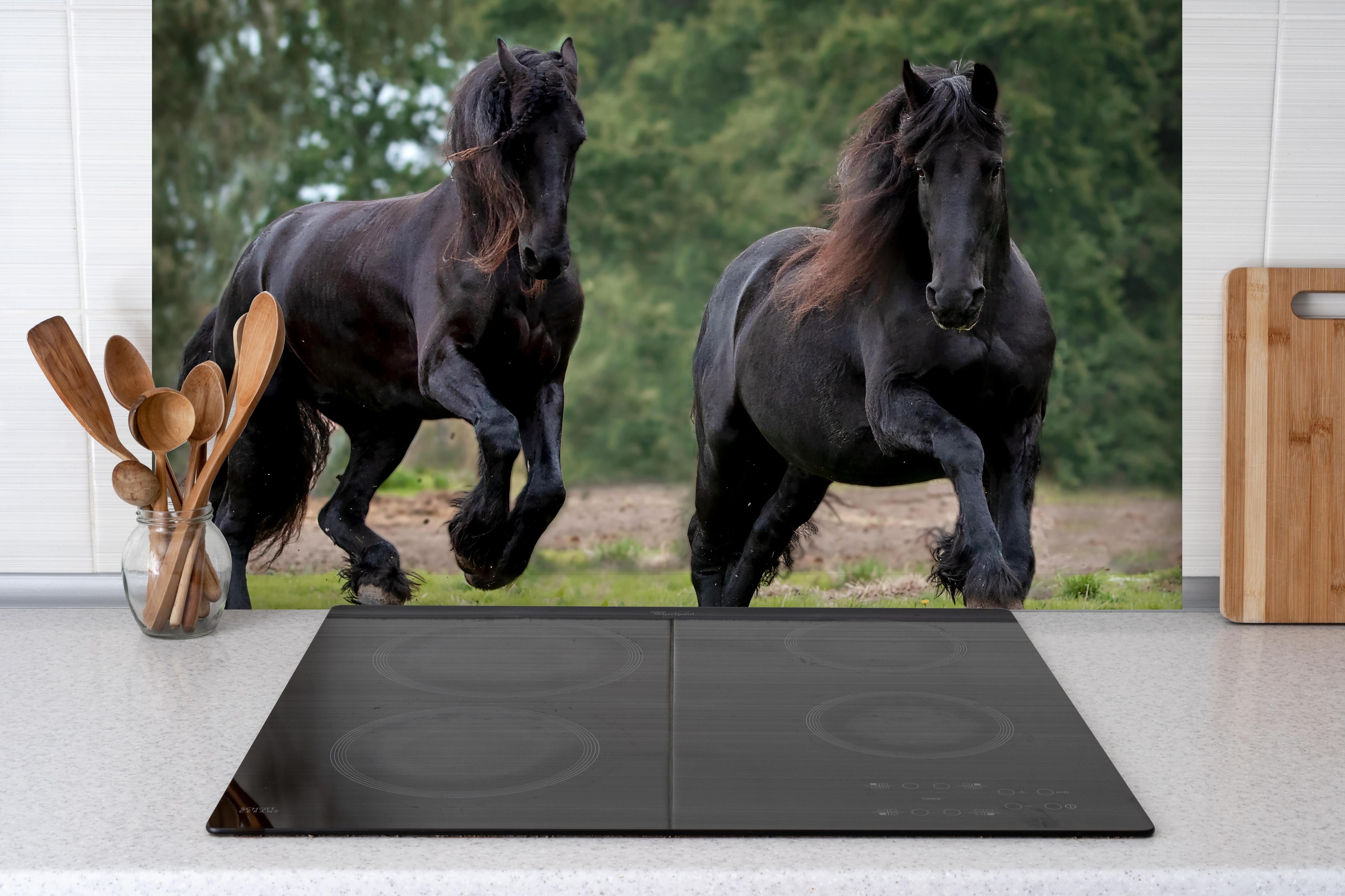 Spritzschutz - Schwarze prächtige Friesenpferde hinter einem Cerankochfeld zwischen Holz-Kochutensilien