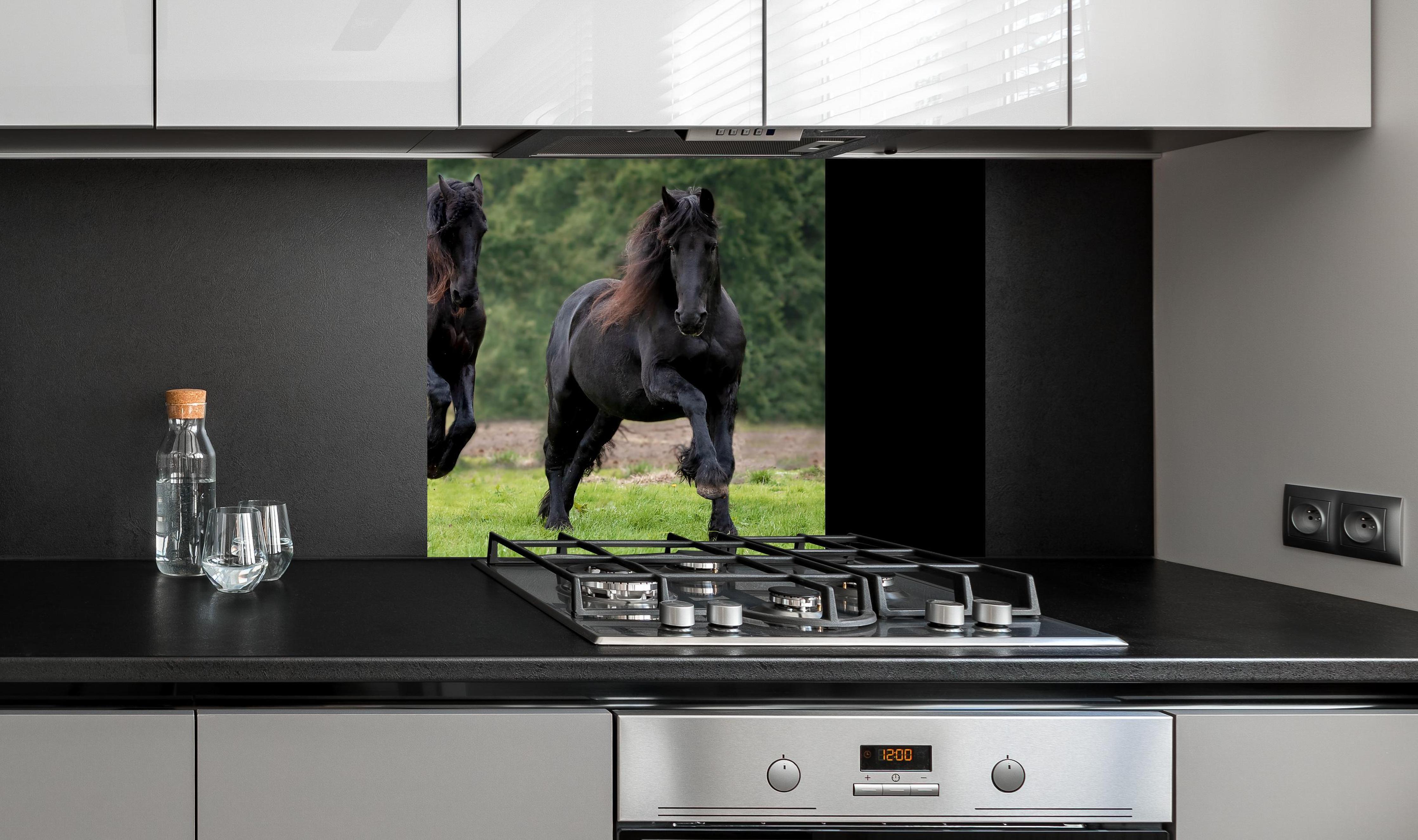 Spritzschutz - Schwarze prächtige Friesenpferde an edler Anthrazit-Wand hinter silbernem Gasherd