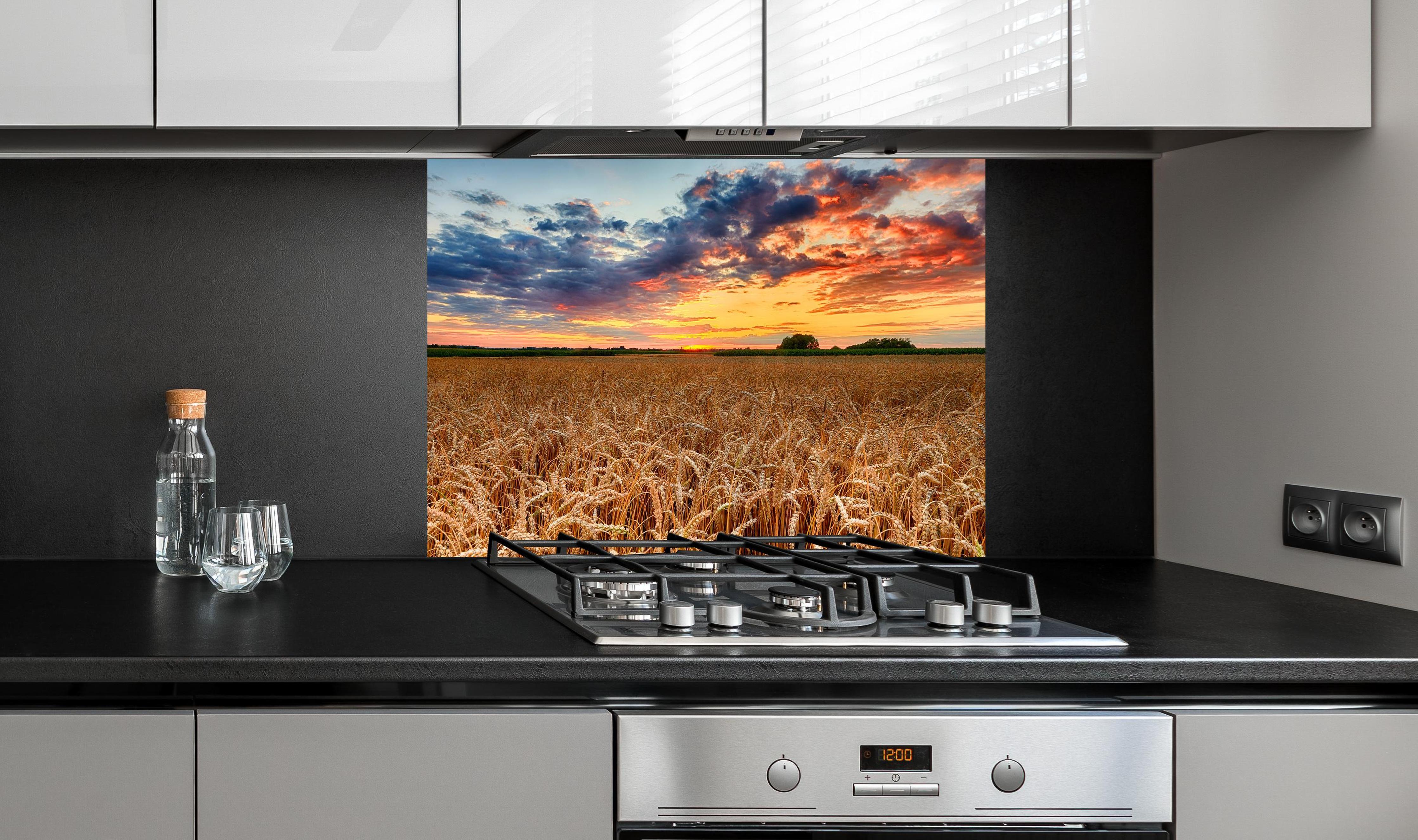Spritzschutz - Sommer-Sonnenaufgang über Weizenfeldern in der Ukraine an edler Anthrazit-Wand hinter silbernem Gasherd